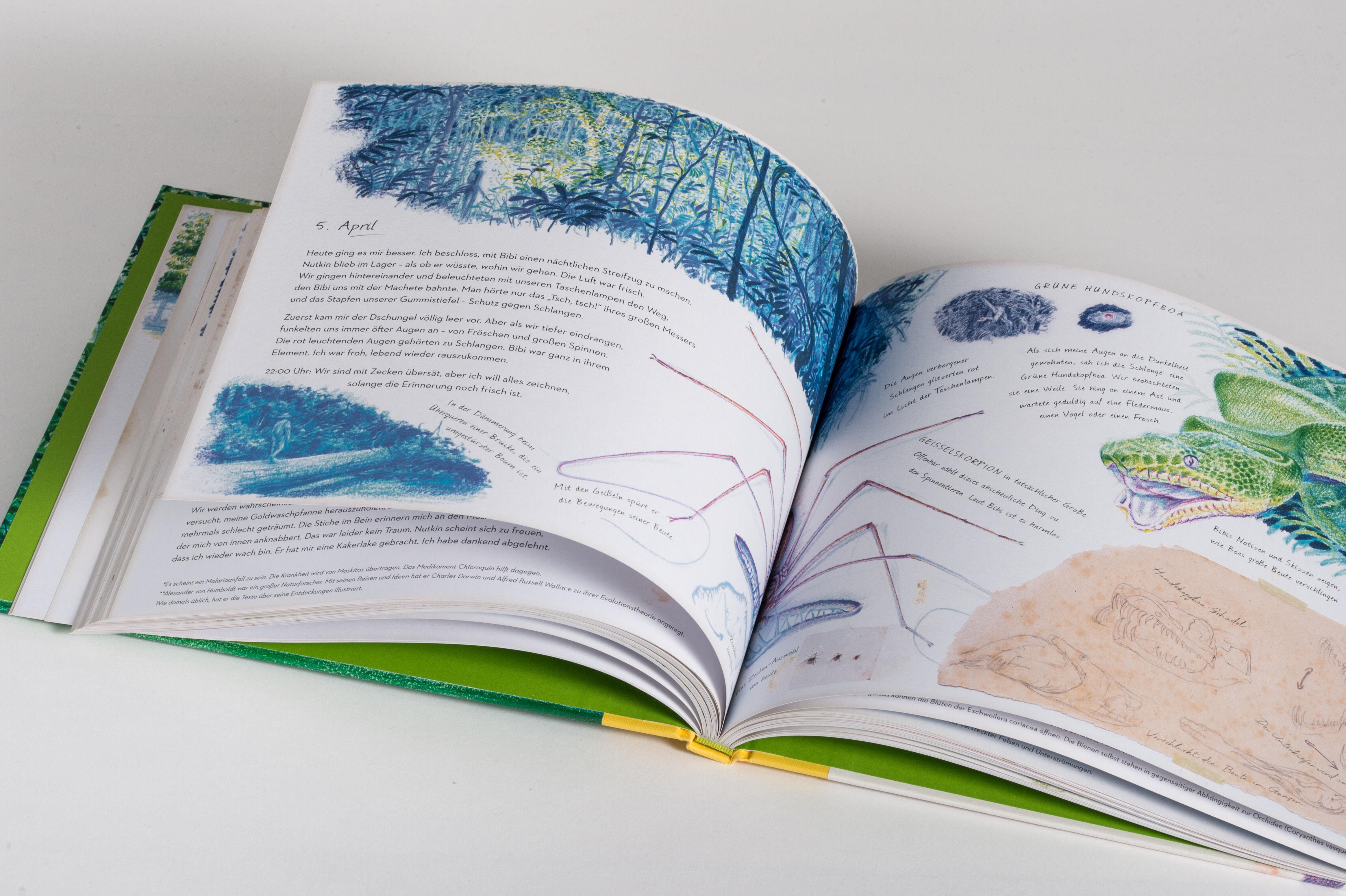 Beispielinhalt (Bild) Die Suche nach dem rätselhaften Fluss