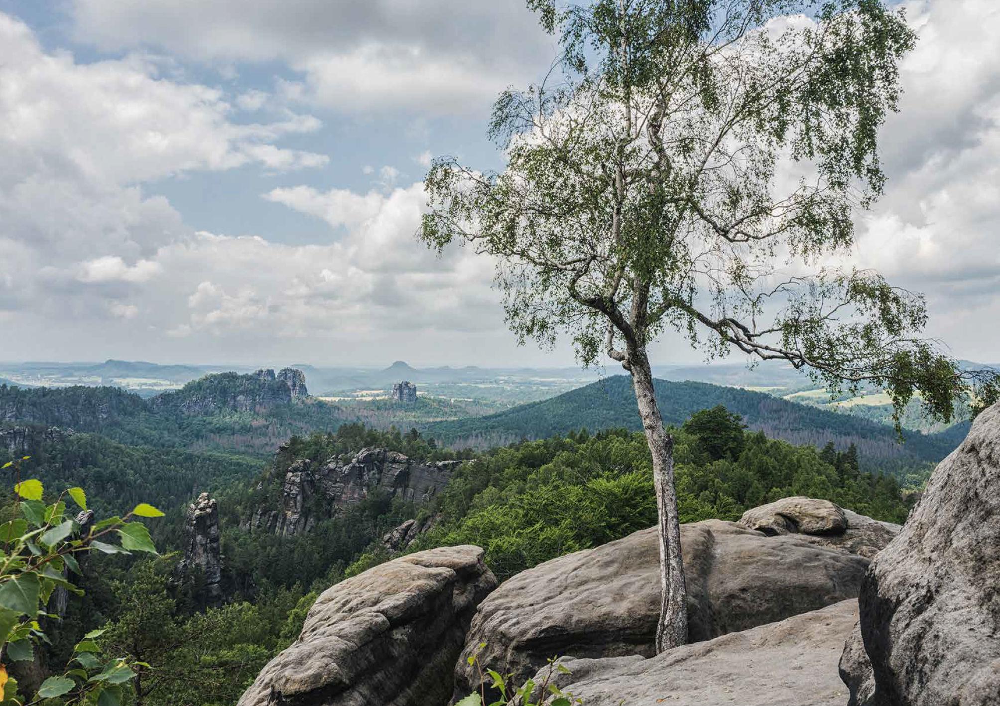 Beispielinhalt (Bild) Rad, Land, Fluss