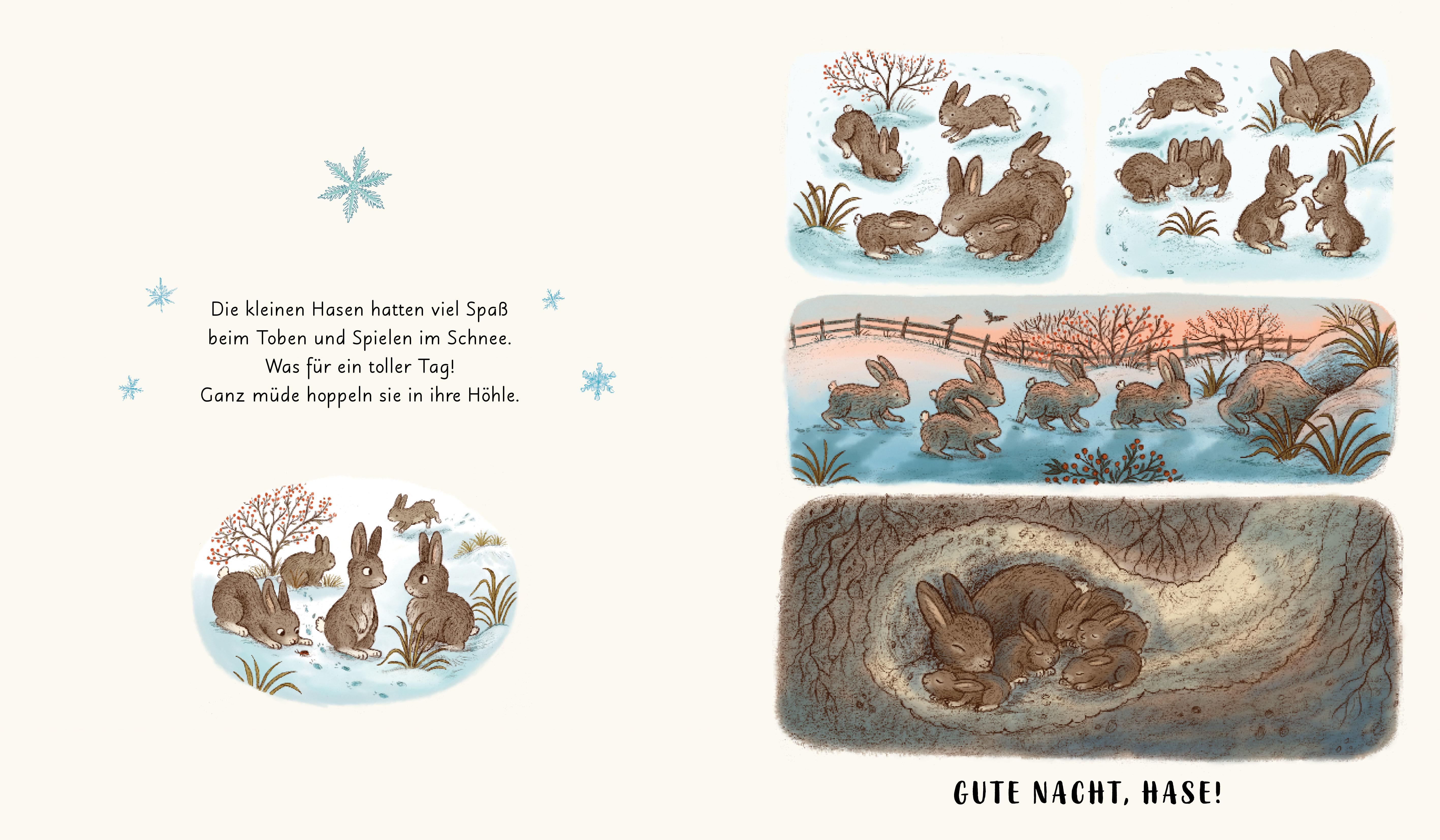 Beispielinhalt (Bild) Wunder der Natur. Das Gute-Nacht-Buch