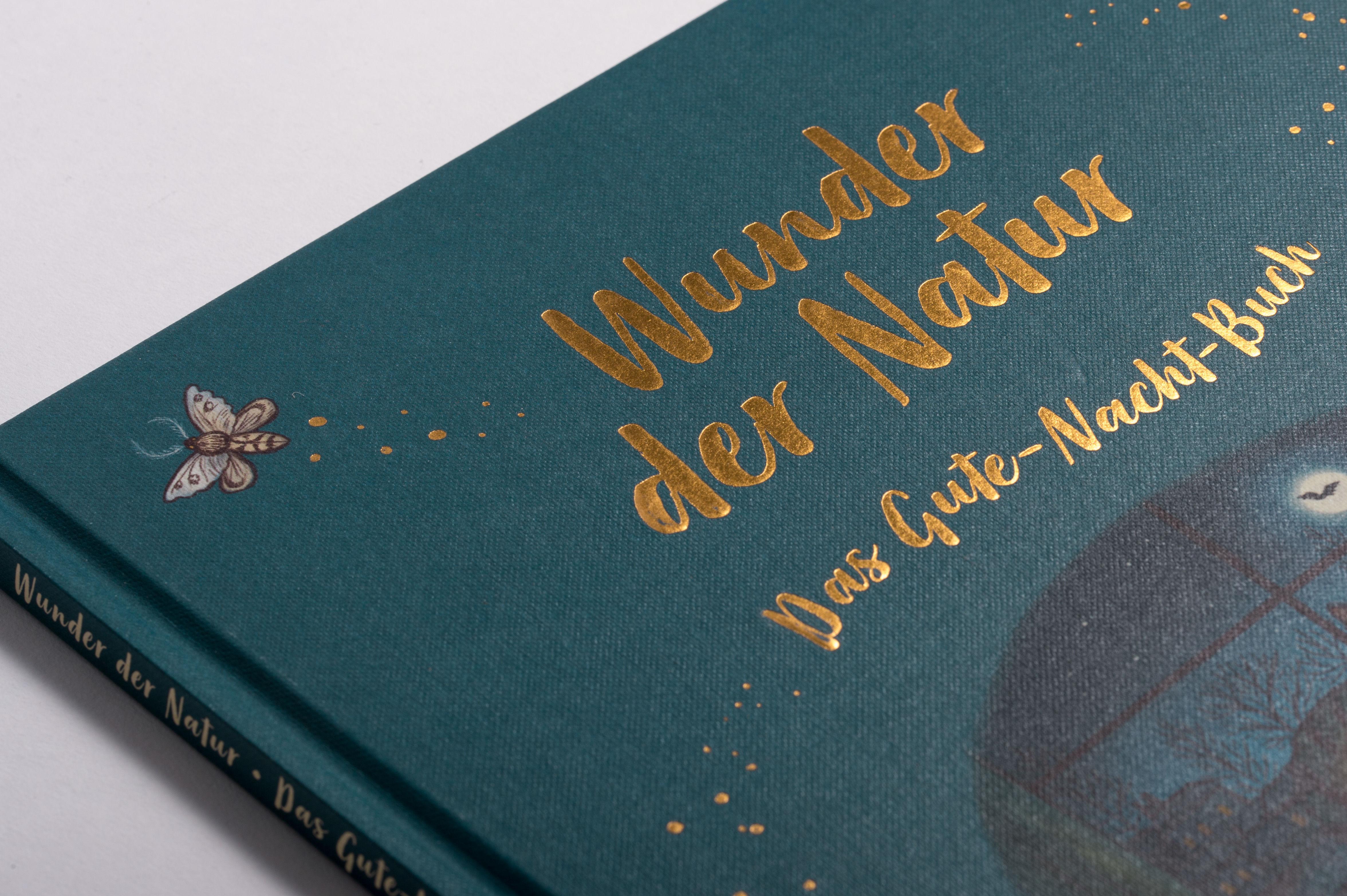 Beispielinhalt (Bild) Wunder der Natur. Das Gute-Nacht-Buch