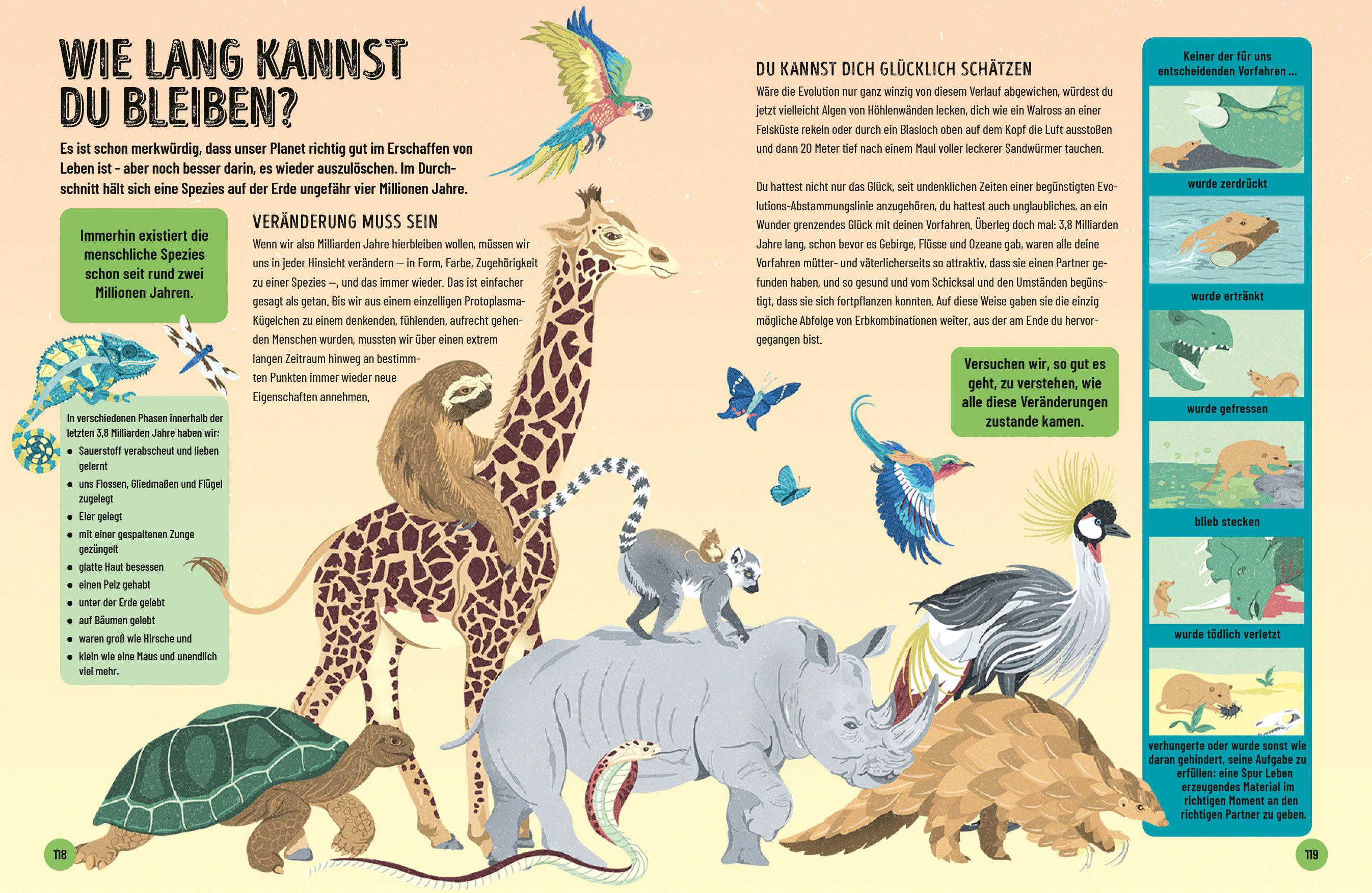 Beispielinhalt (Bild) Eine kurze Geschichte von fast allem - Ausgabe für junge Leser