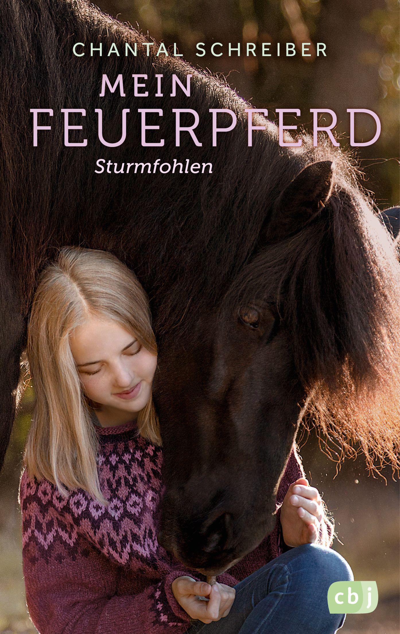 Vorderes Coverbild Mein Feuerpferd - Sturmfohlen