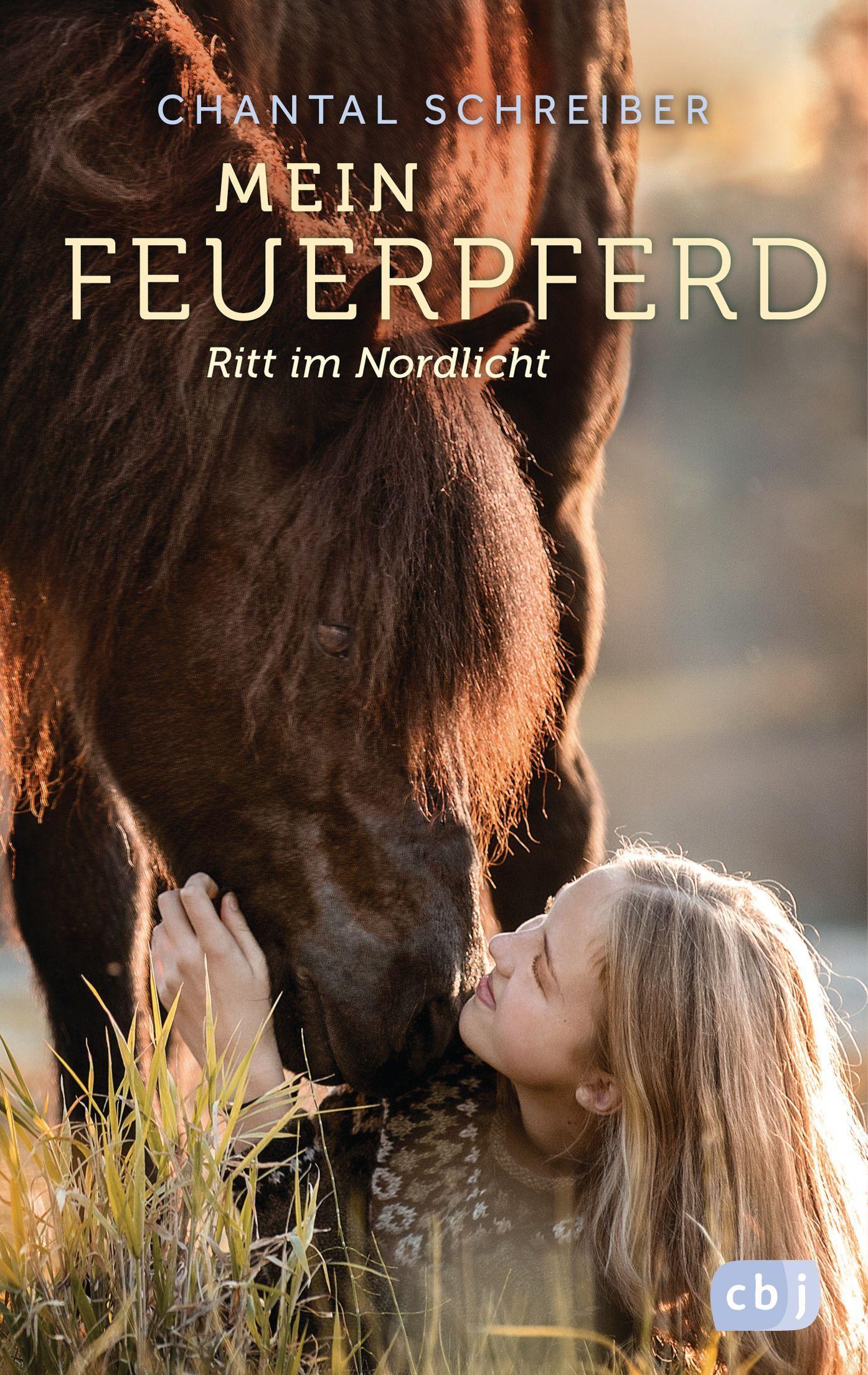 Vorderes Coverbild Mein Feuerpferd - Ritt im Nordlicht