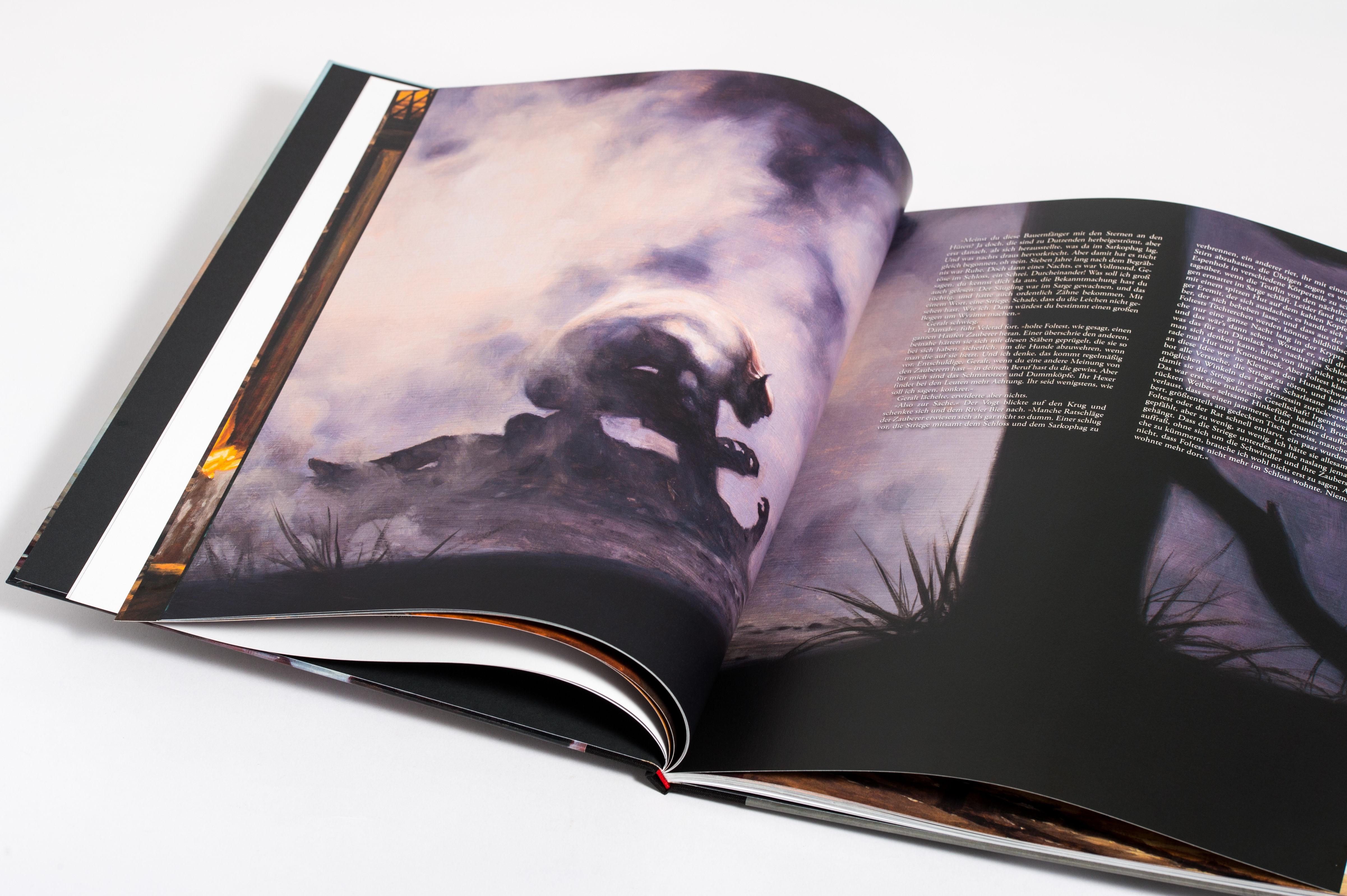 Beispielinhalt (Bild) The Witcher Illustrated - Der Hexer