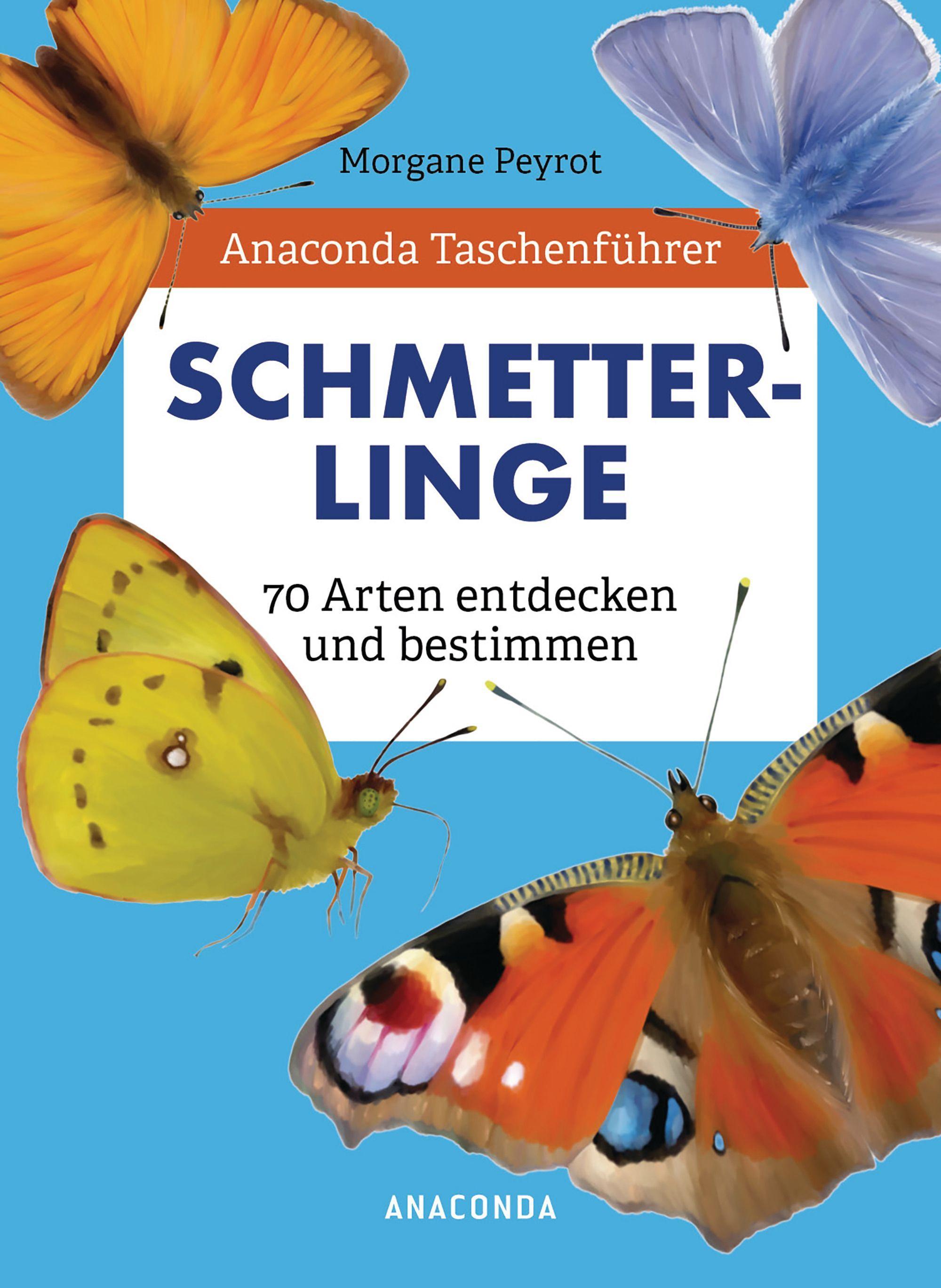 Vorderes Coverbild Anaconda Taschenführer Schmetterlinge. 70 Arten entdecken und bestimmen