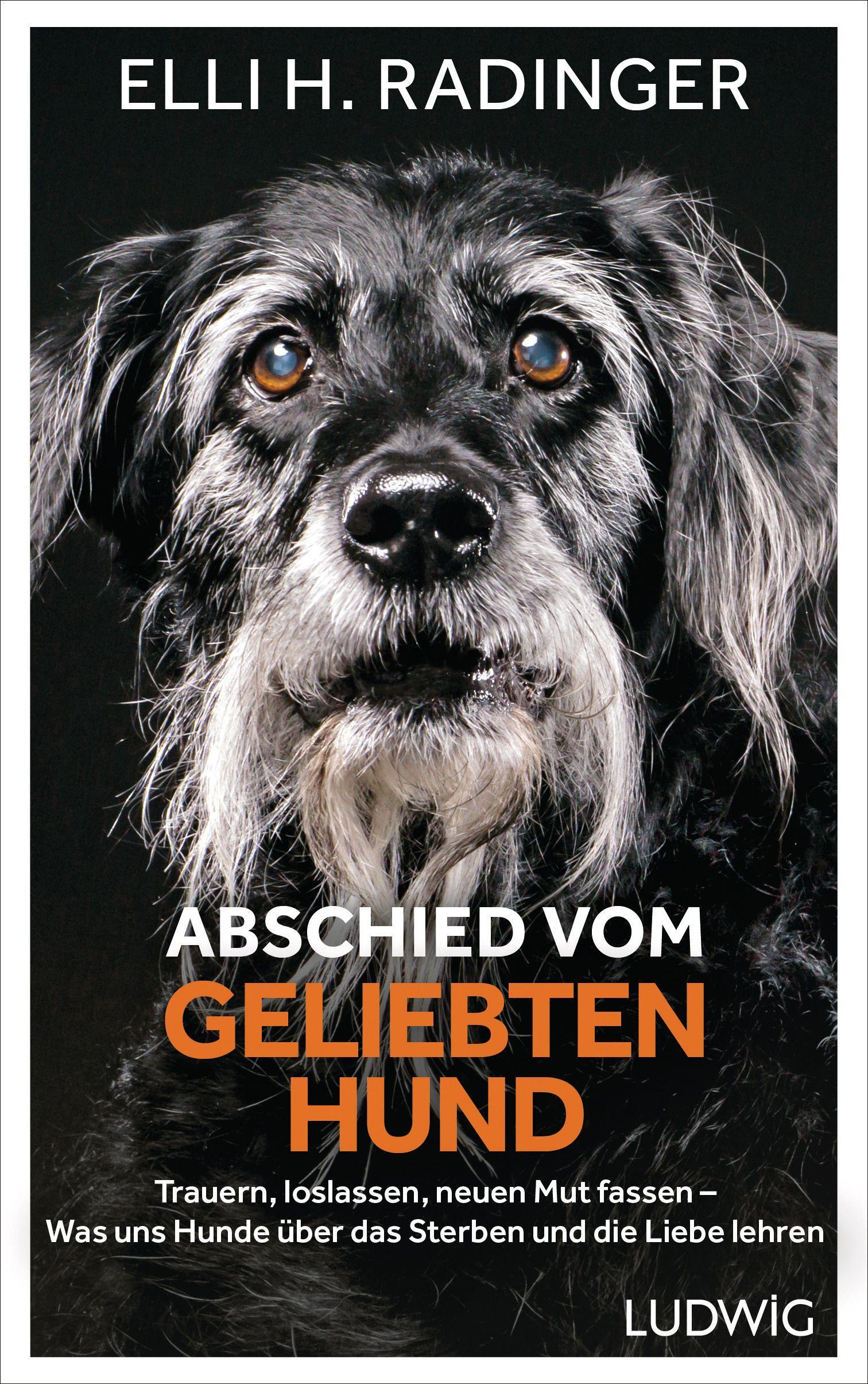 Vorderes Coverbild Abschied vom geliebten Hund