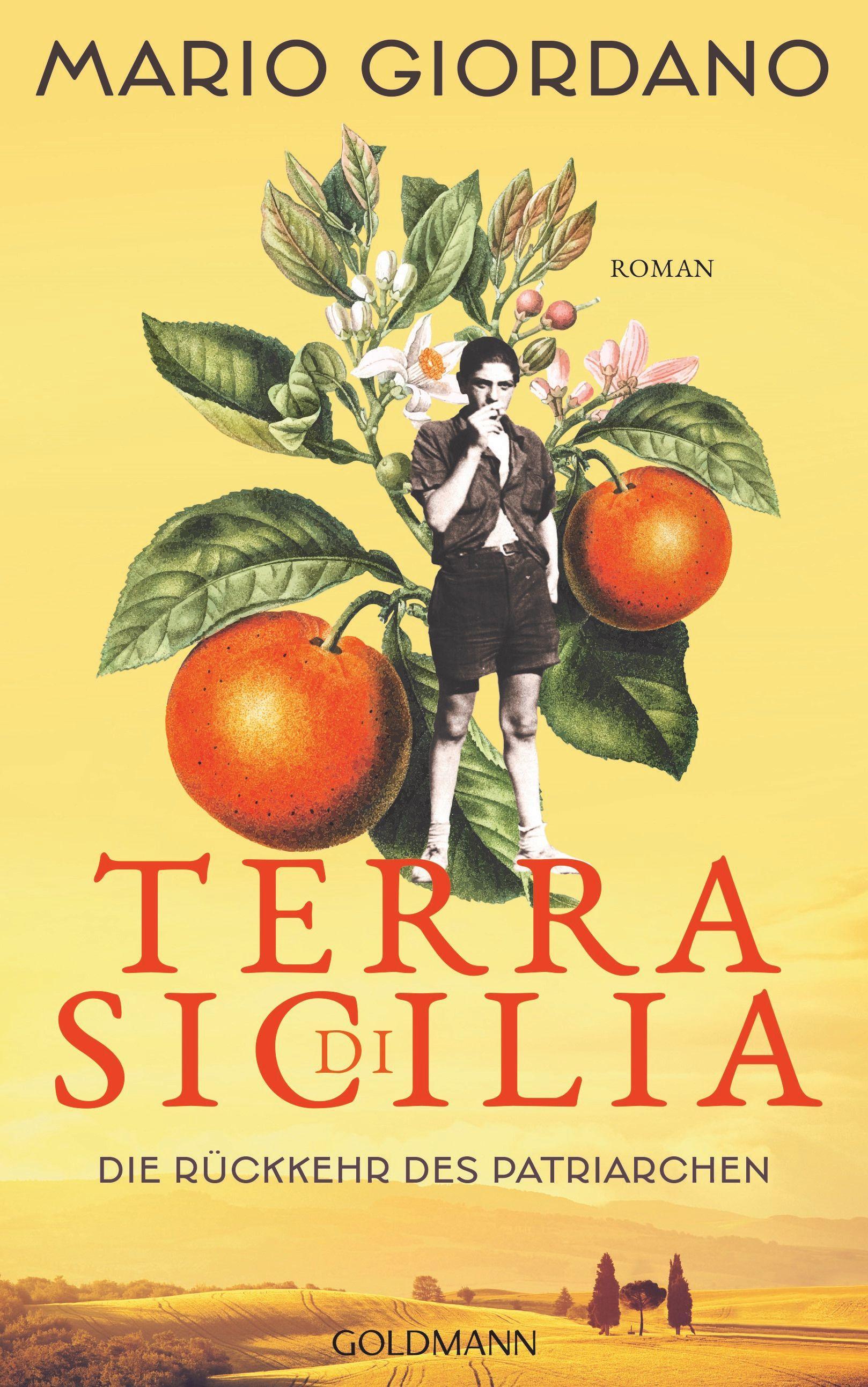 Vorderes Coverbild Terra di Sicilia. Die Rückkehr des Patriarchen