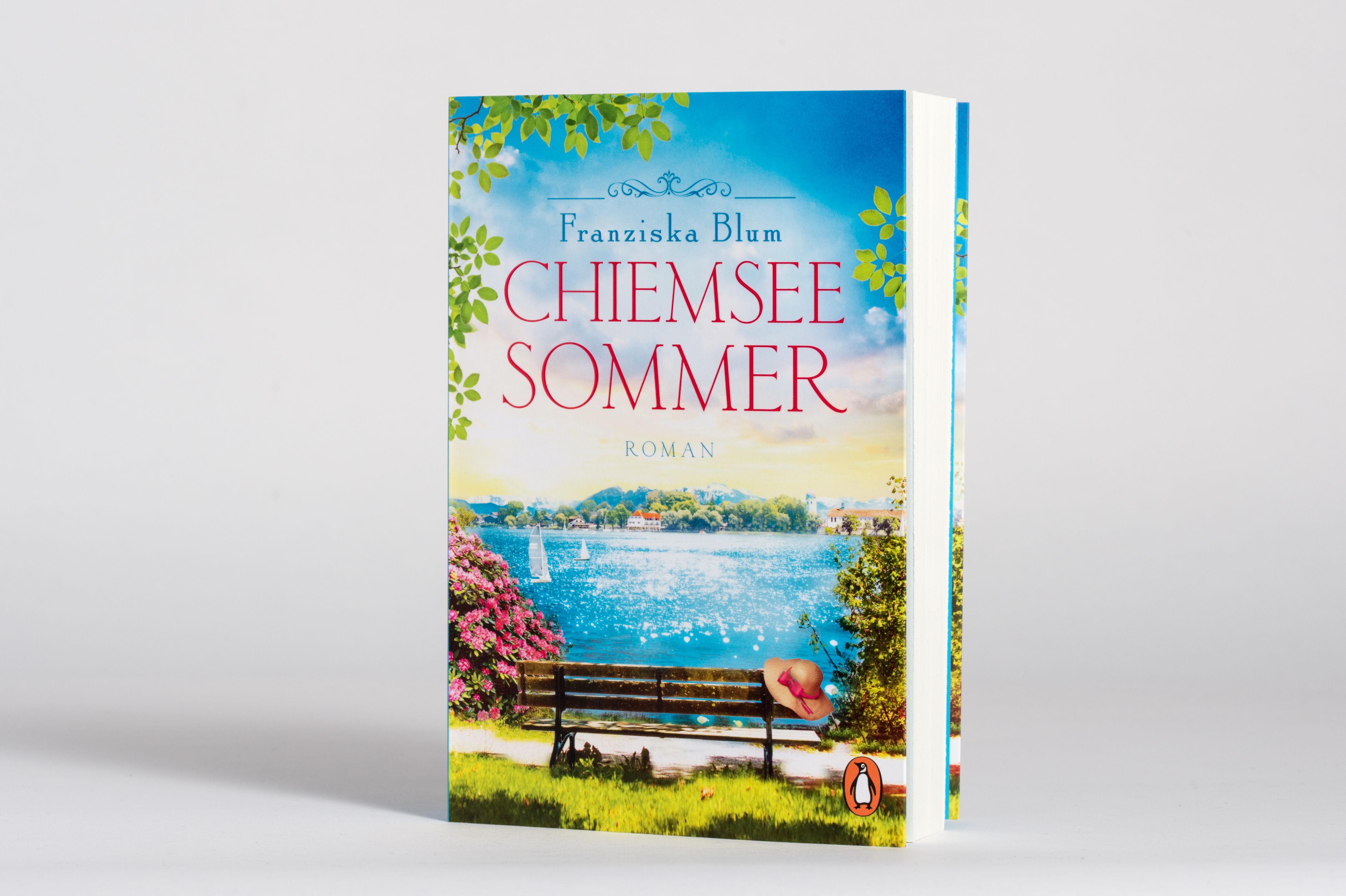 Beispielinhalt (Bild) Chiemseesommer