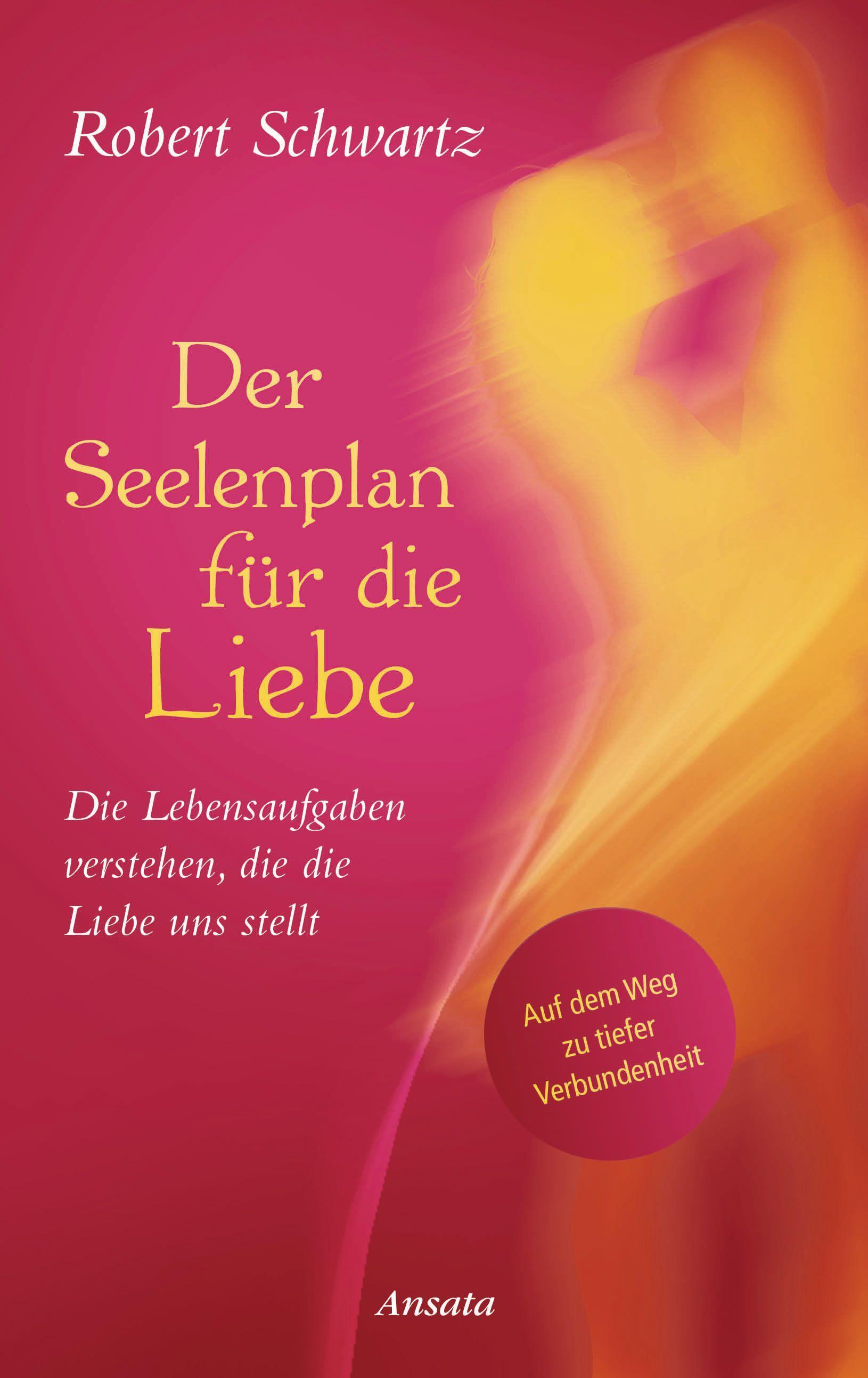 Vorderes Coverbild Der Seelenplan für die Liebe