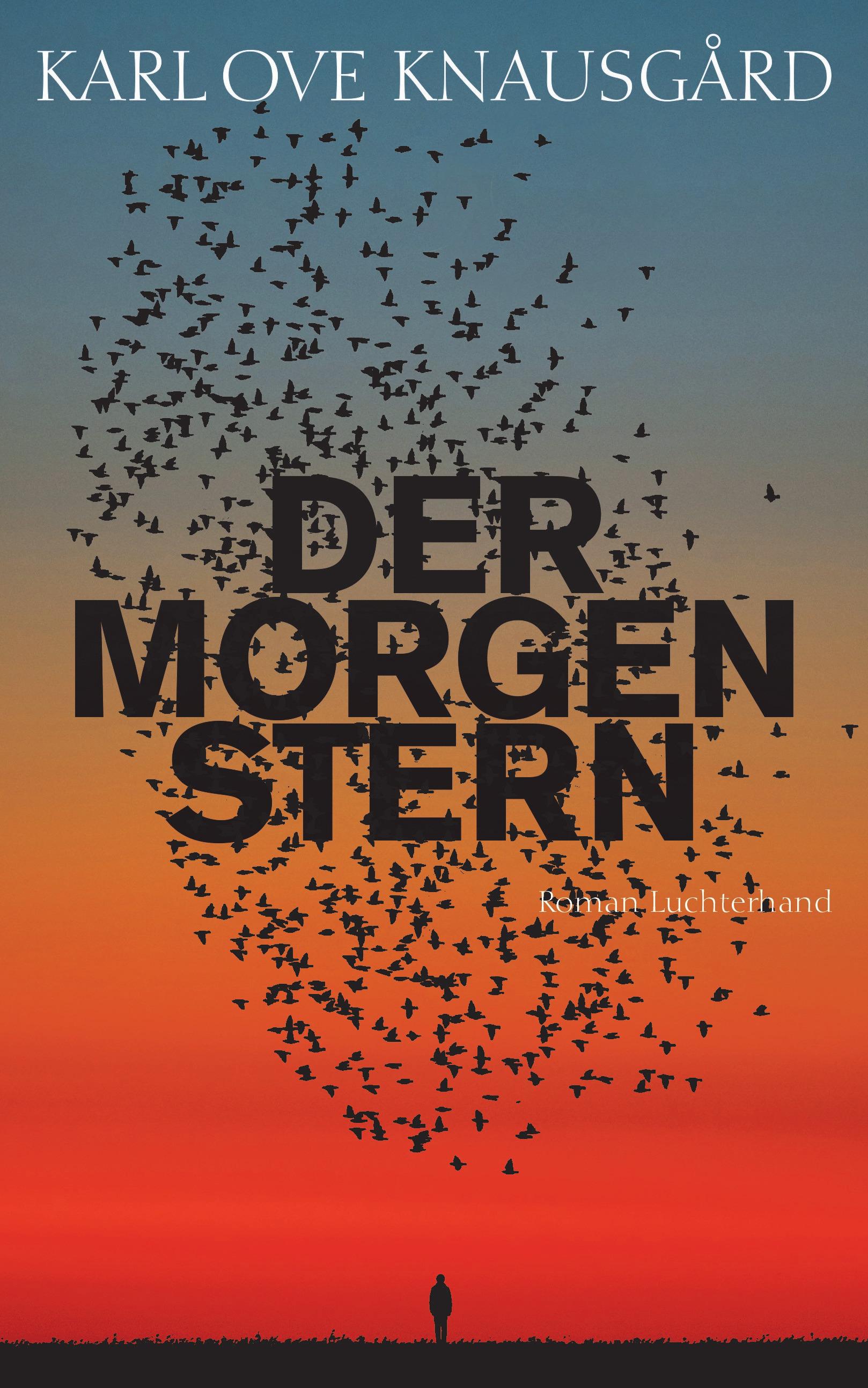 Vorderes Coverbild Der Morgenstern
