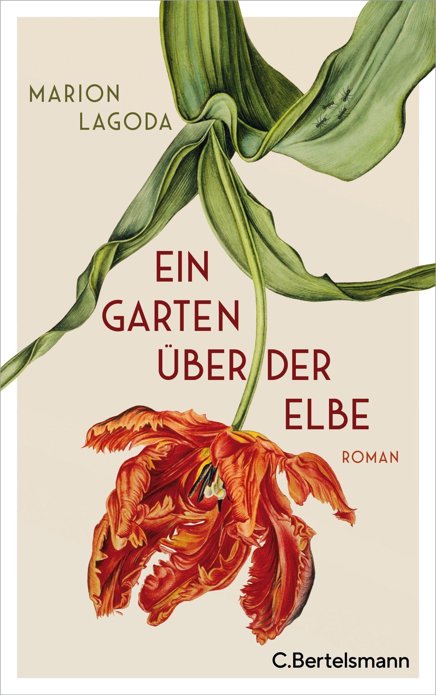 Vorderes Coverbild Ein Garten über der Elbe