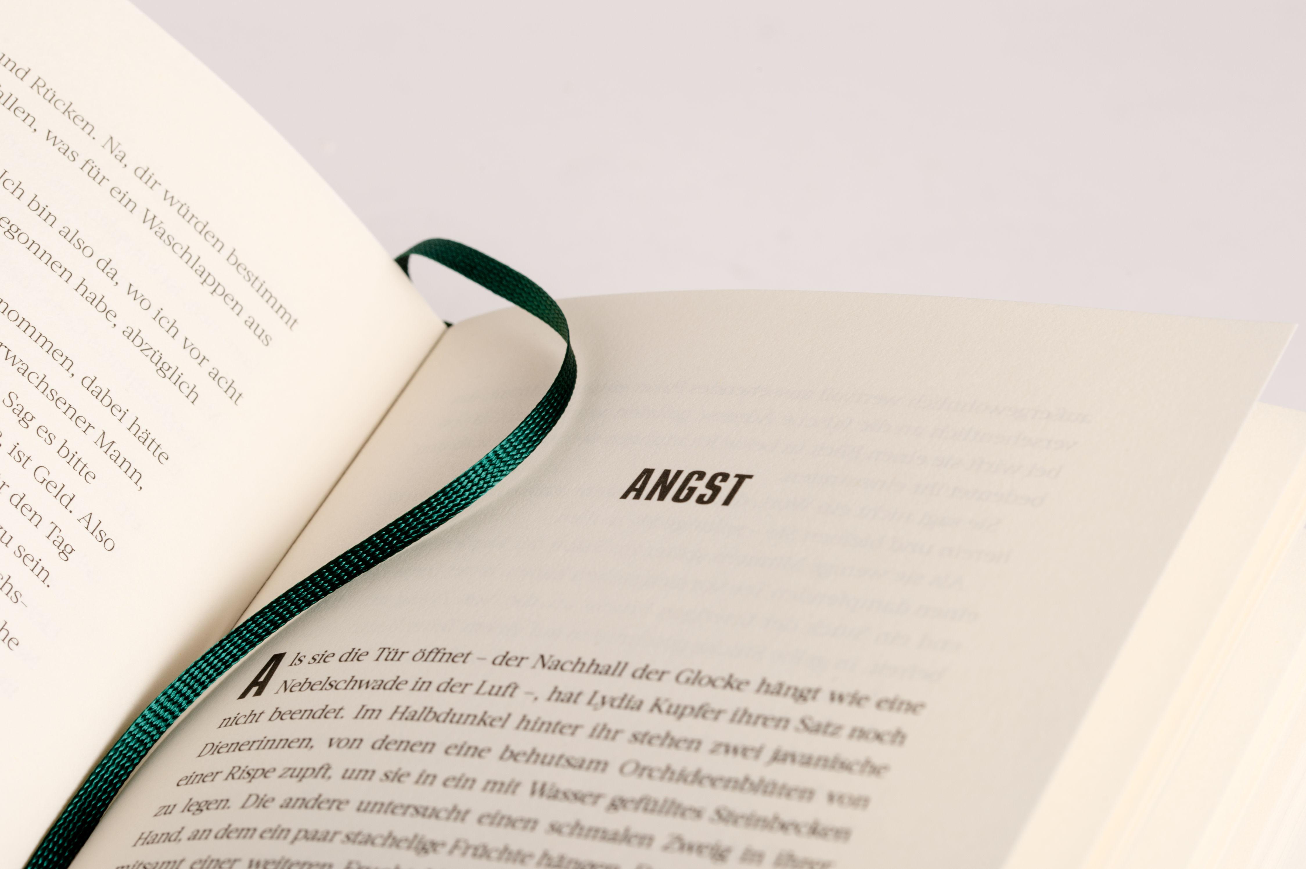 Beispielinhalt (Bild) Der Flussregenpfeifer