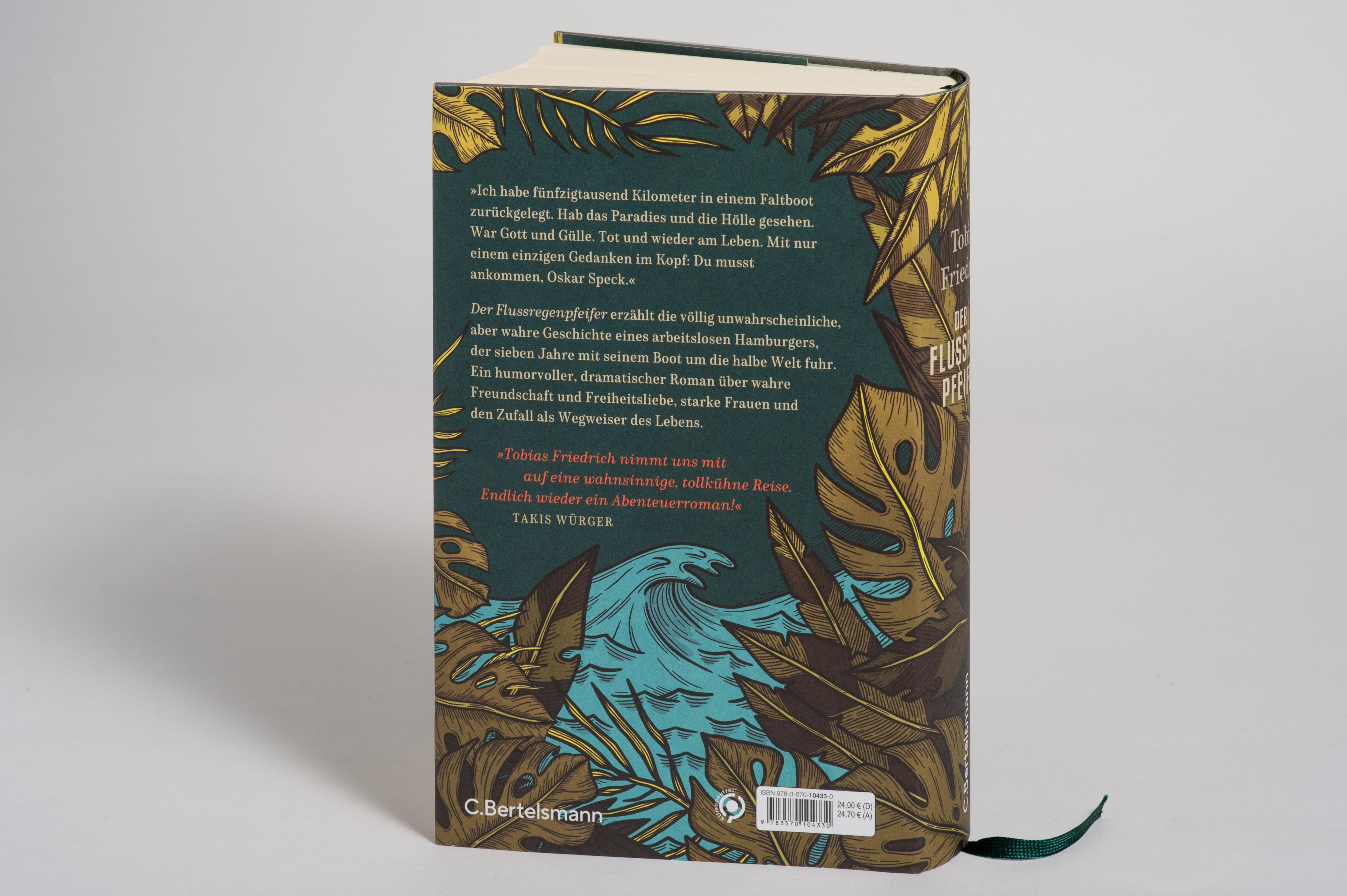 Beispielinhalt (Bild) Der Flussregenpfeifer