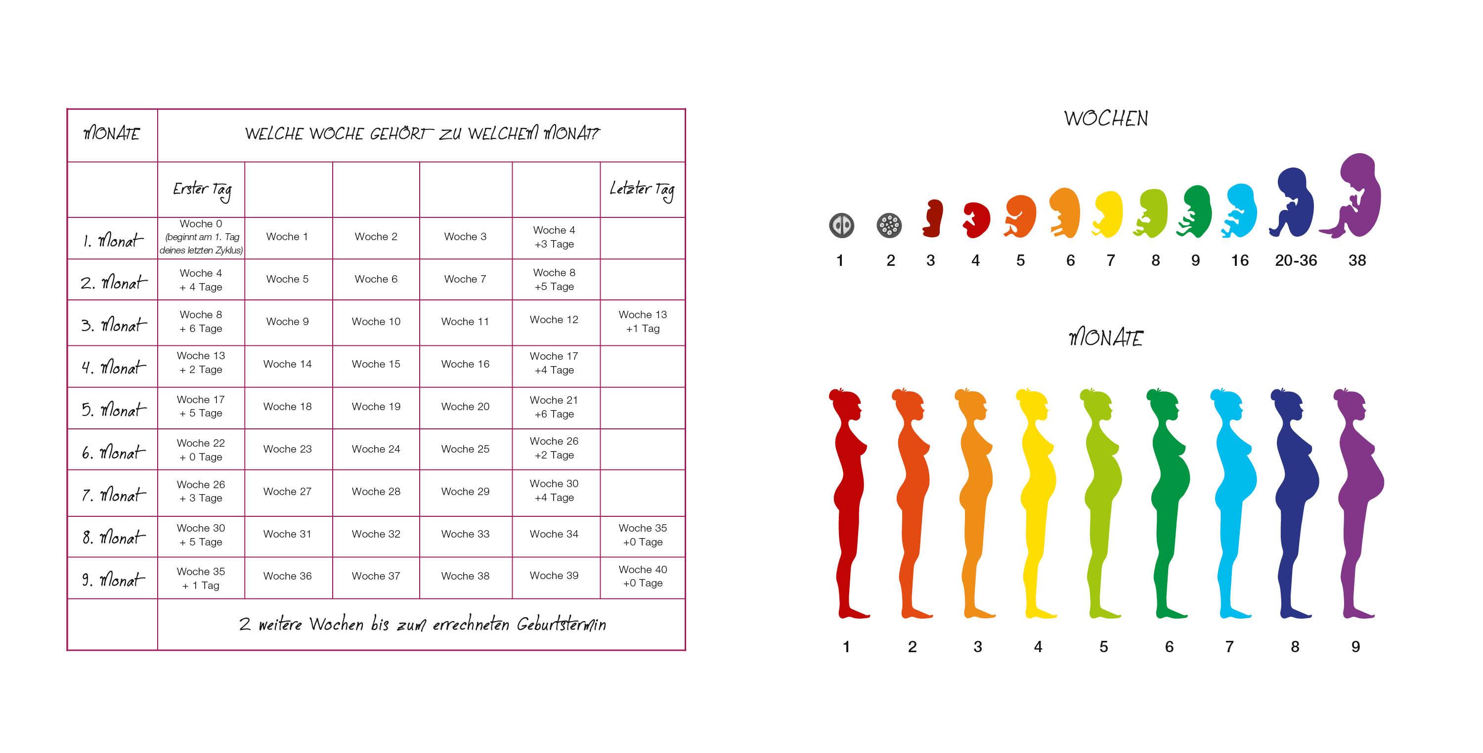 Beispielinhalt (Bild) Meine Schwangerschaft