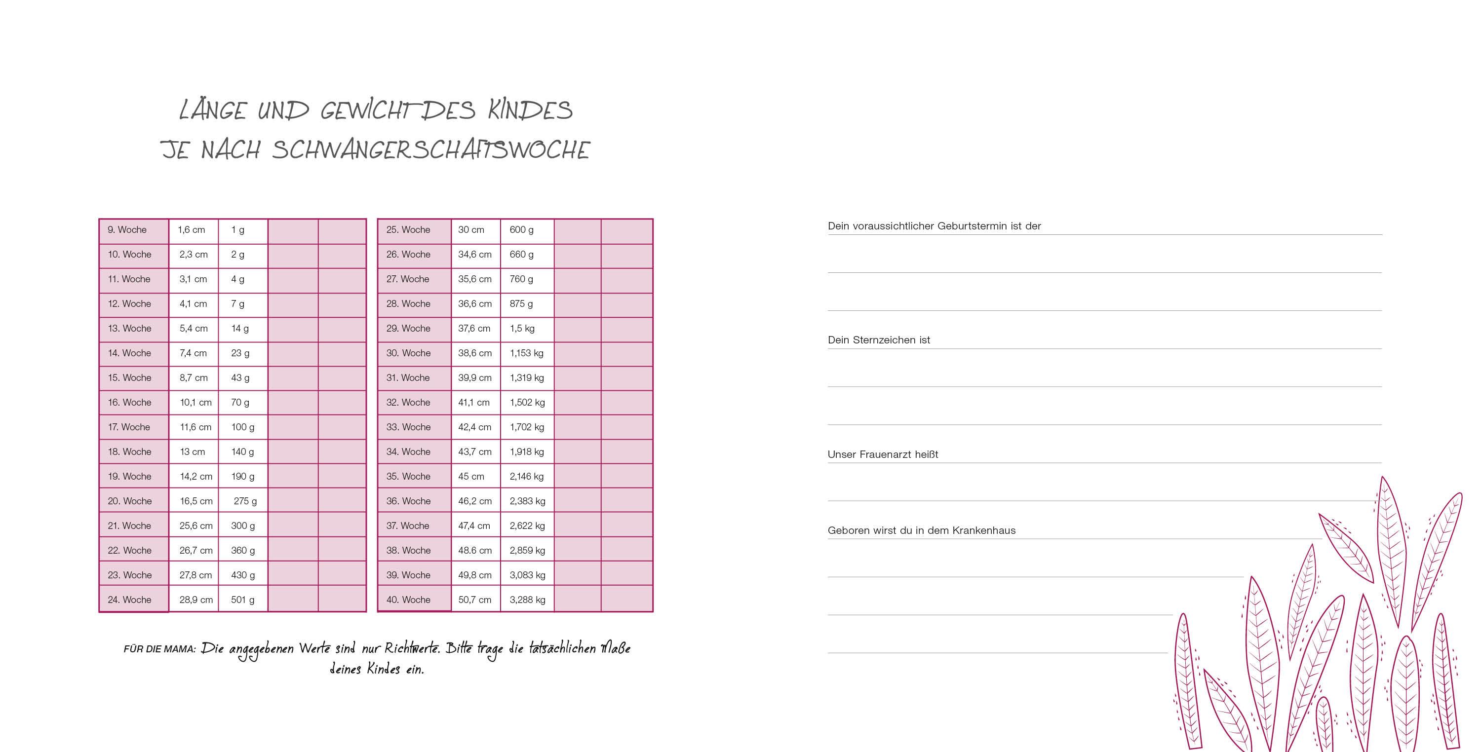 Beispielinhalt (Bild) Meine Schwangerschaft
