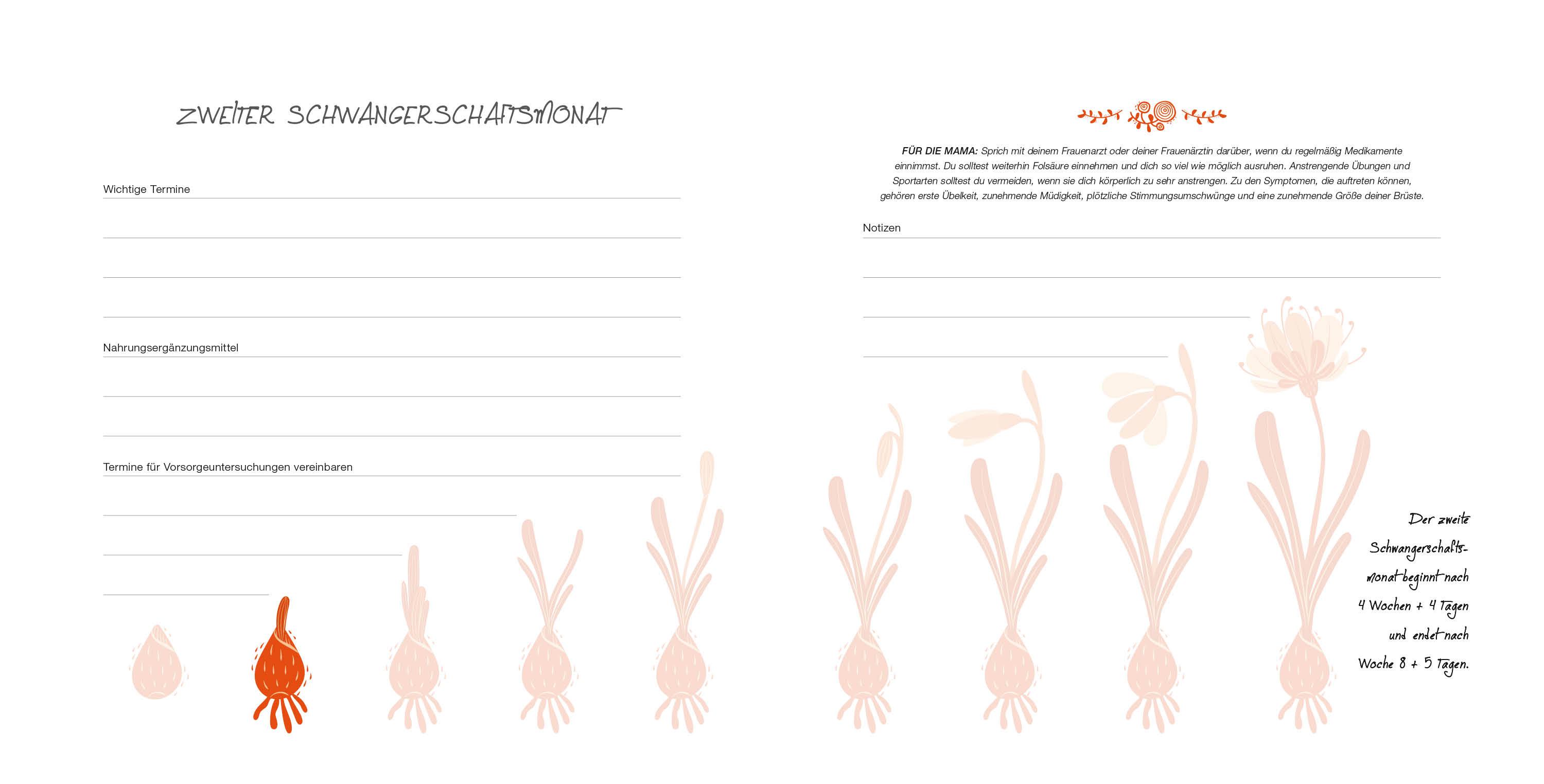 Beispielinhalt (Bild) Meine Schwangerschaft