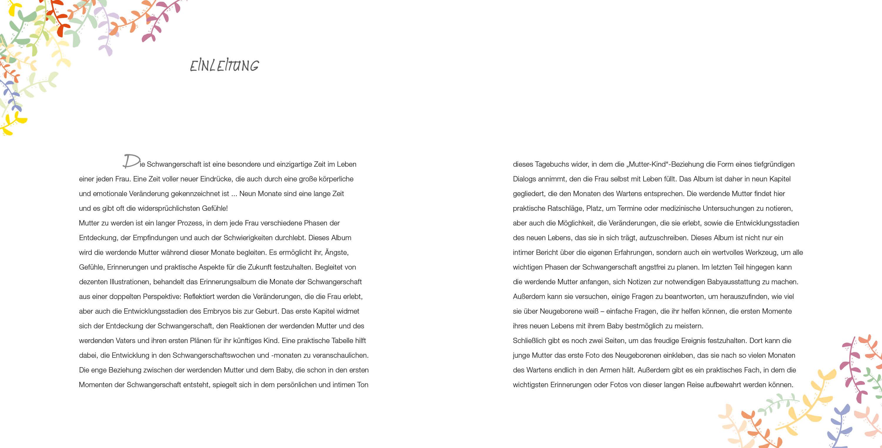 Beispielinhalt (Bild) Meine Schwangerschaft