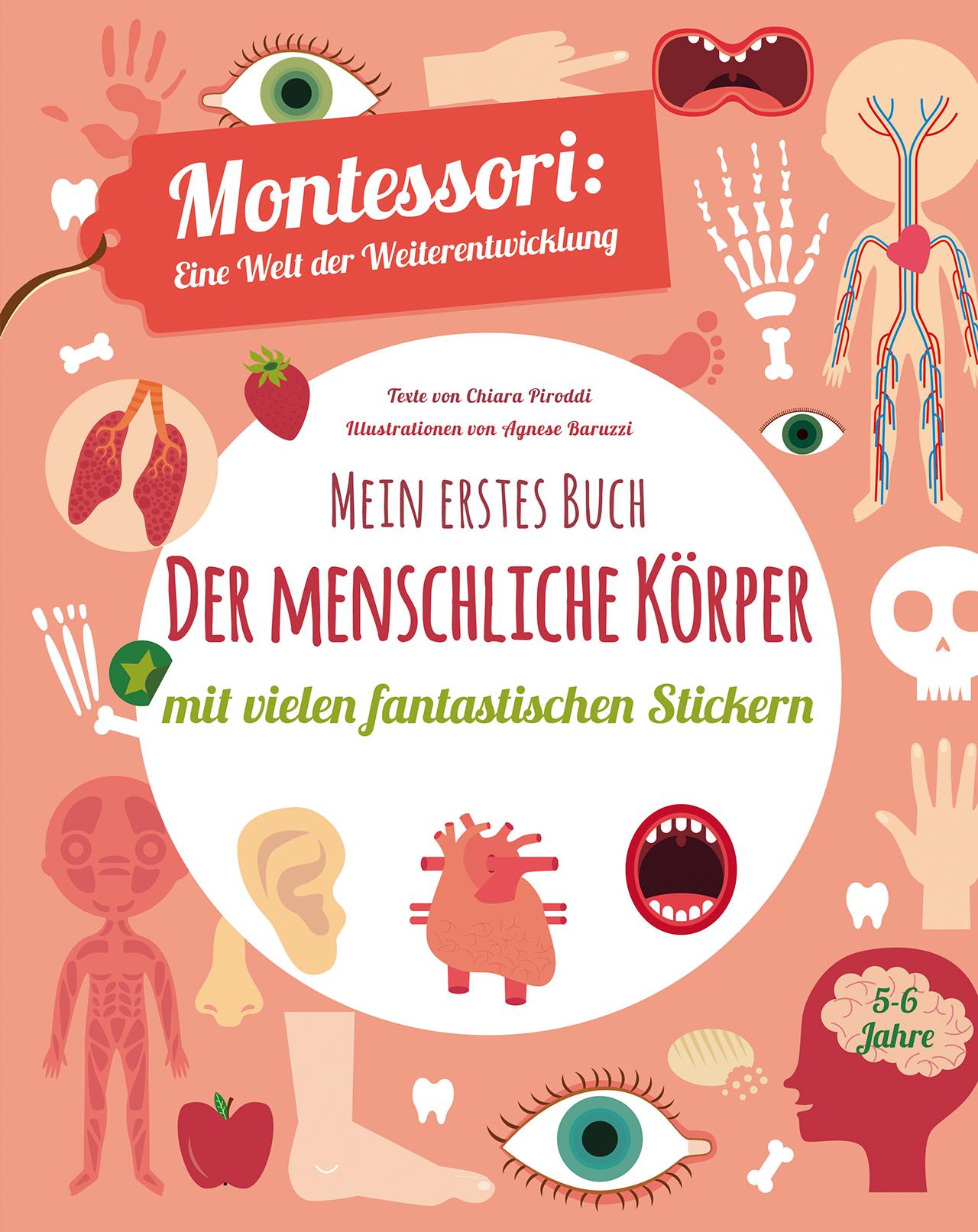 Vorderes Coverbild Mein erstes Buch: Der menschliche Körper