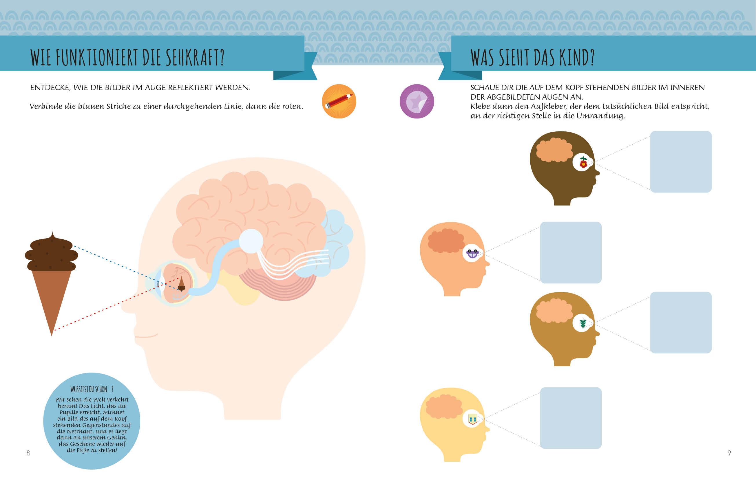 Beispielinhalt (Bild) Mein erstes Buch: Die fünf Sinne