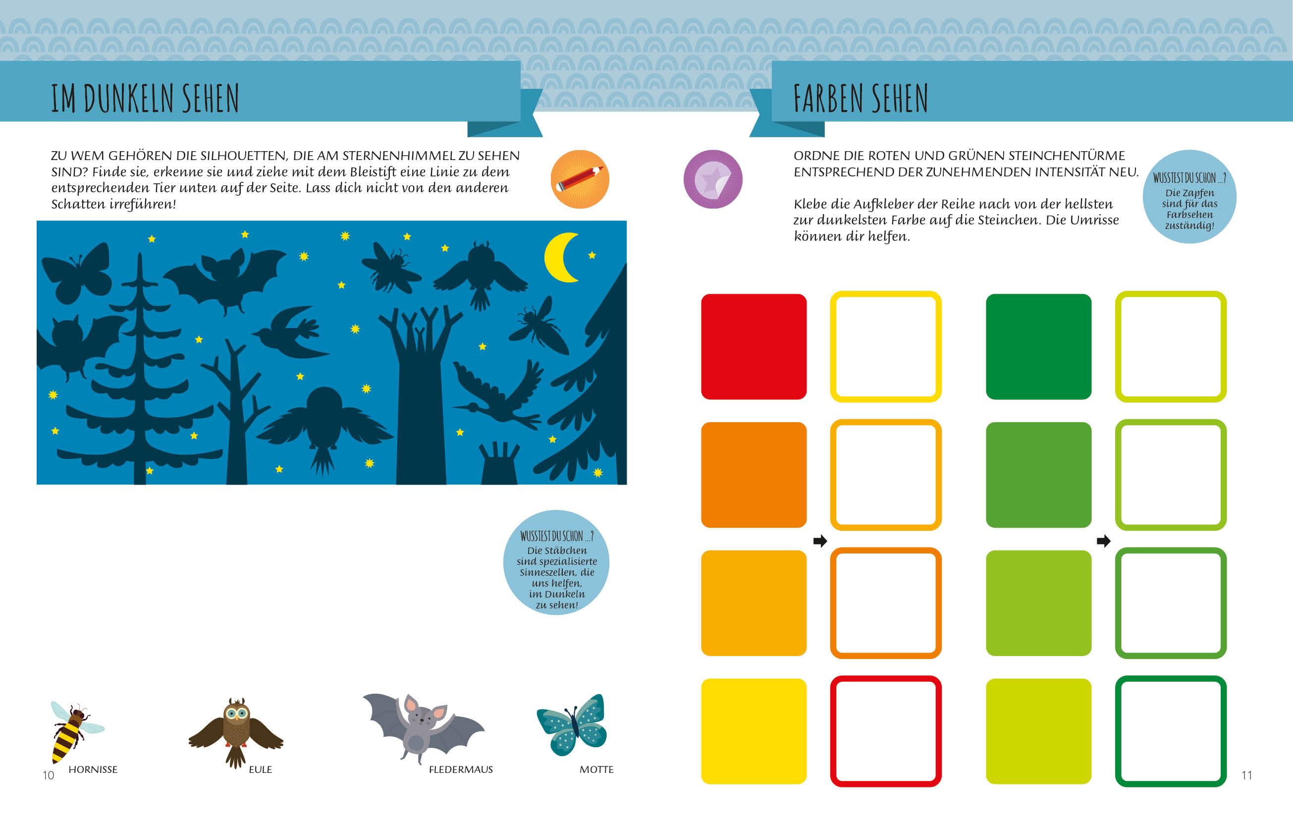 Beispielinhalt (Bild) Mein erstes Buch: Die fünf Sinne