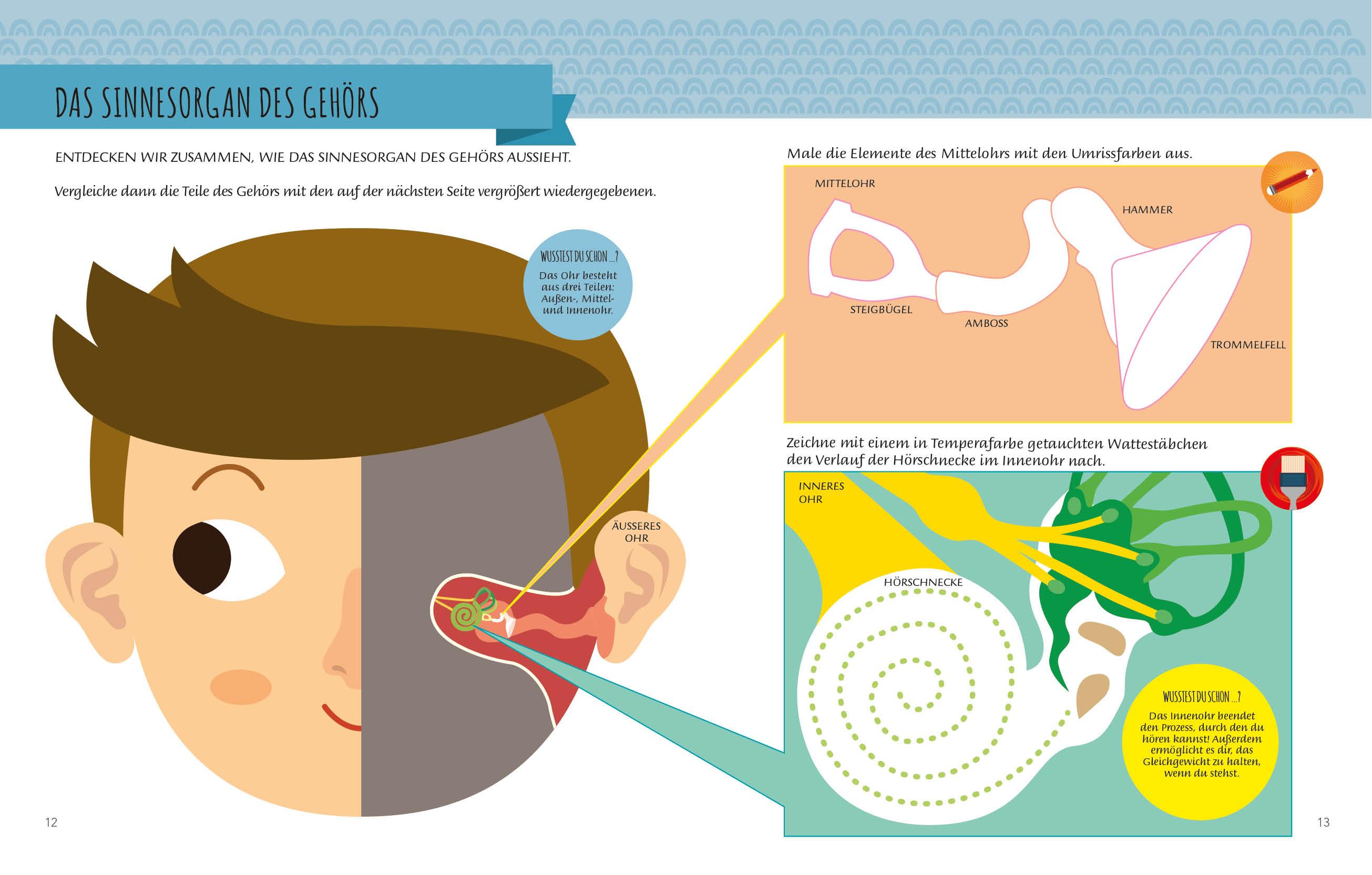 Beispielinhalt (Bild) Mein erstes Buch: Die fünf Sinne