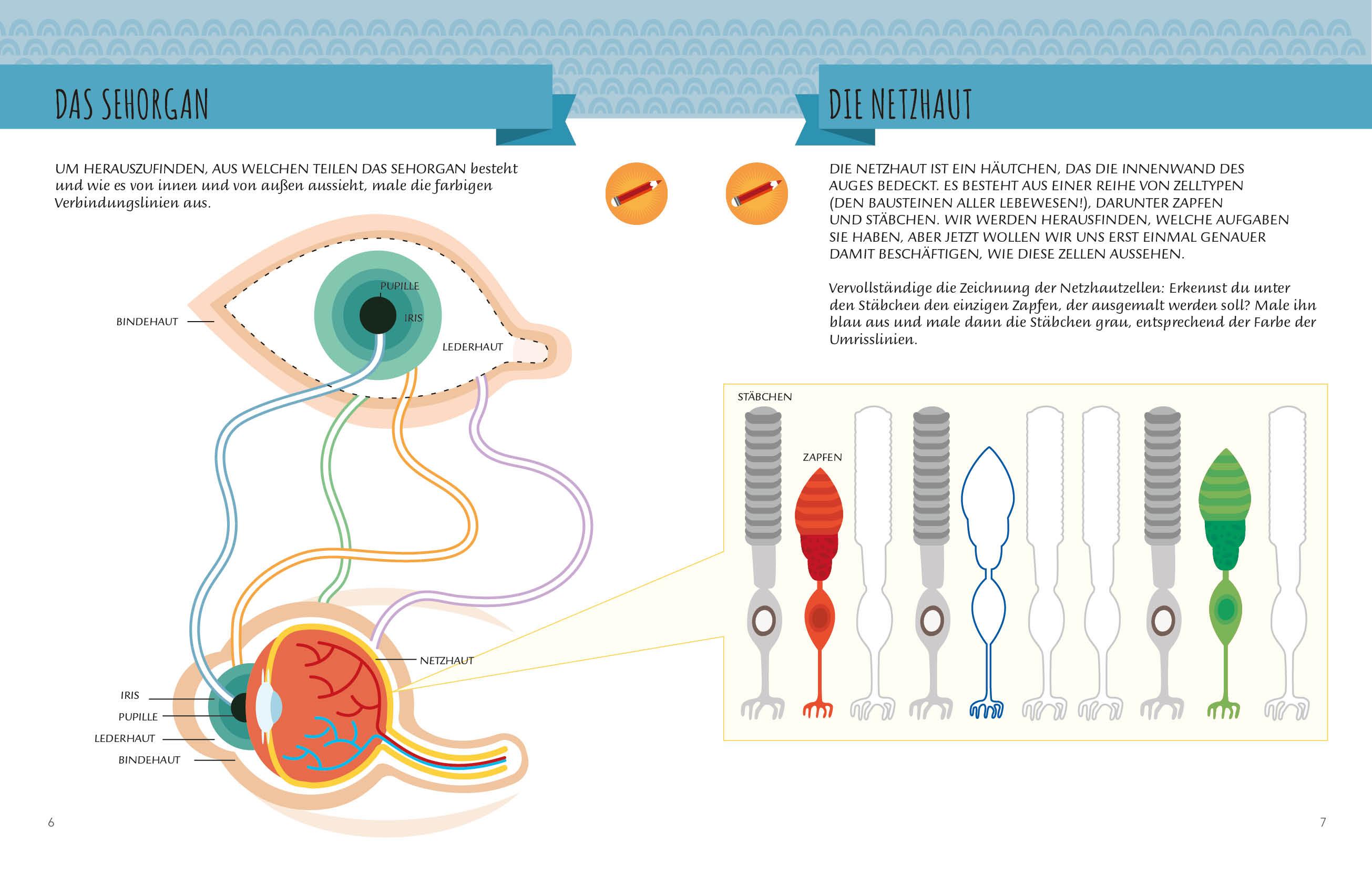 Beispielinhalt (Bild) Mein erstes Buch: Die fünf Sinne