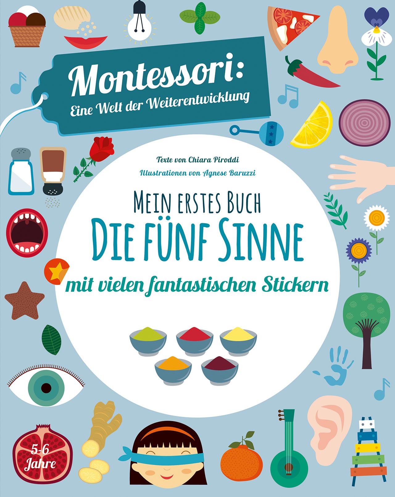 Vorderes Coverbild Mein erstes Buch: Die fünf Sinne