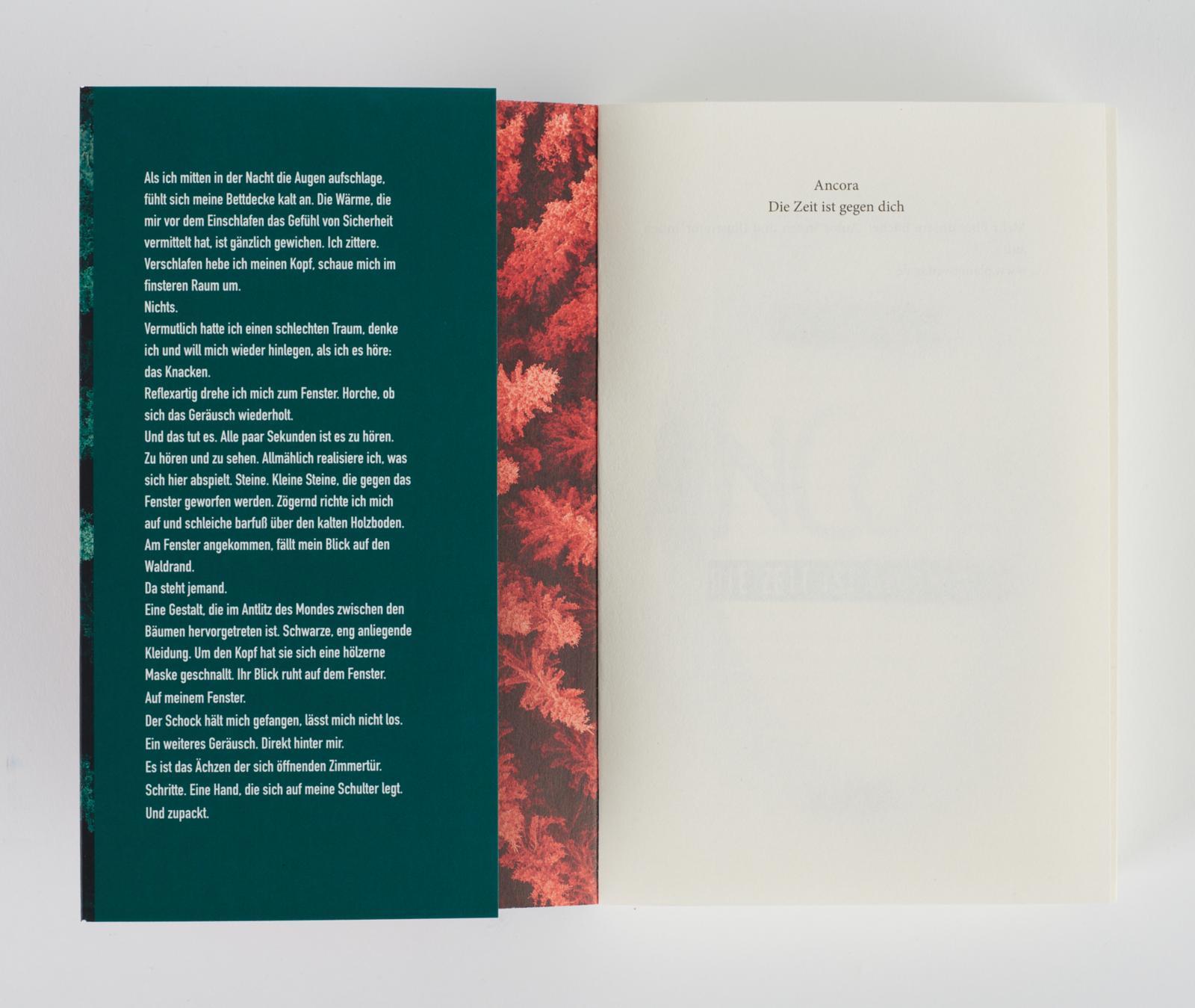 Beispielinhalt (Bild) Ancora