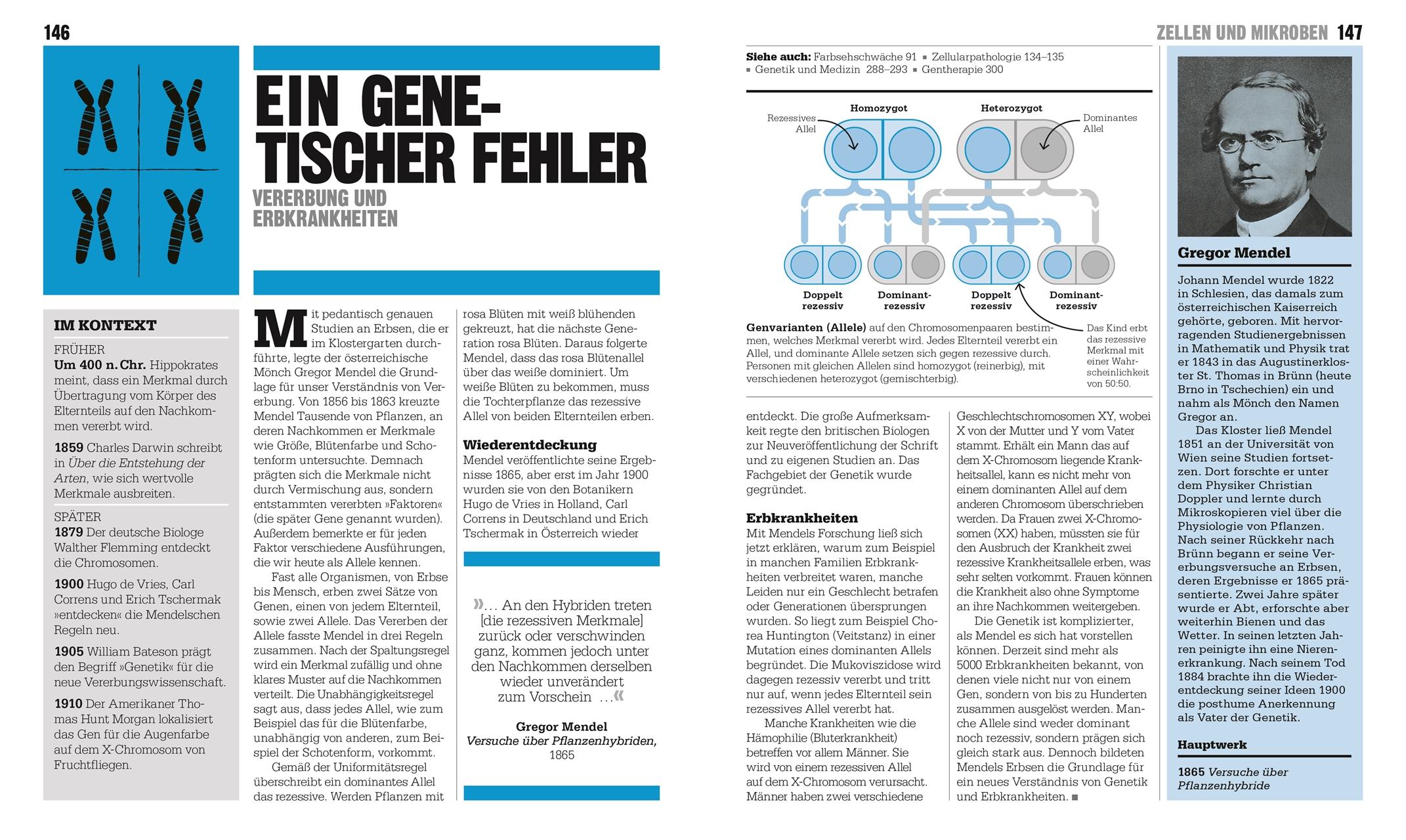 Beispielinhalt (Bild) Big Ideas. Das Medizin-Buch