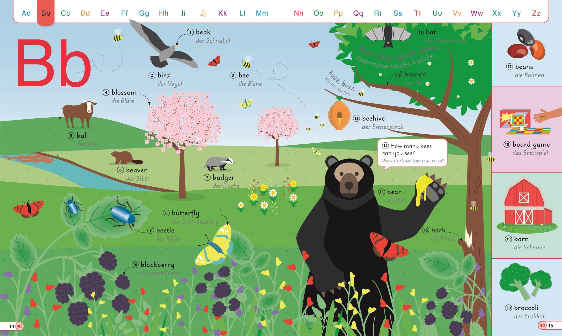 Beispielinhalt (Bild) Englisch für clevere Kids - Bildwörterbuch