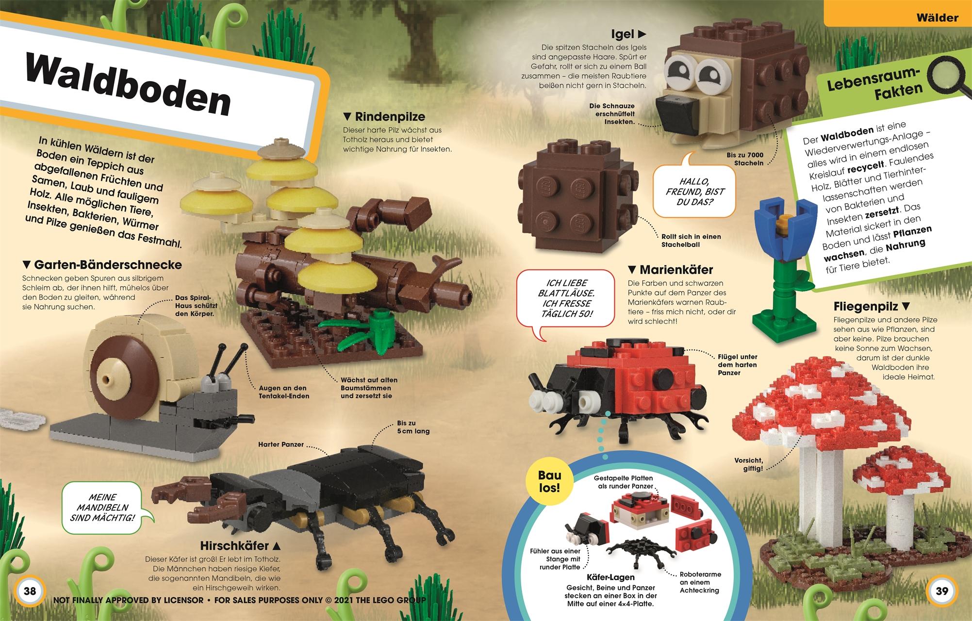 Beispielinhalt (Bild) LEGO® Ideen Super Natur