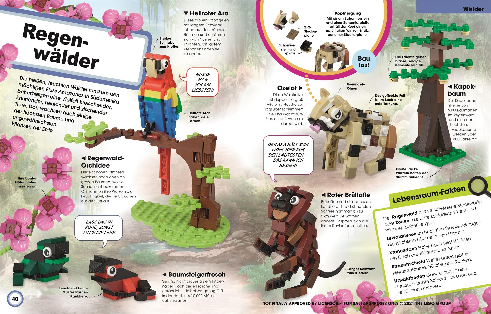Beispielinhalt (Bild) LEGO® Ideen Super Natur