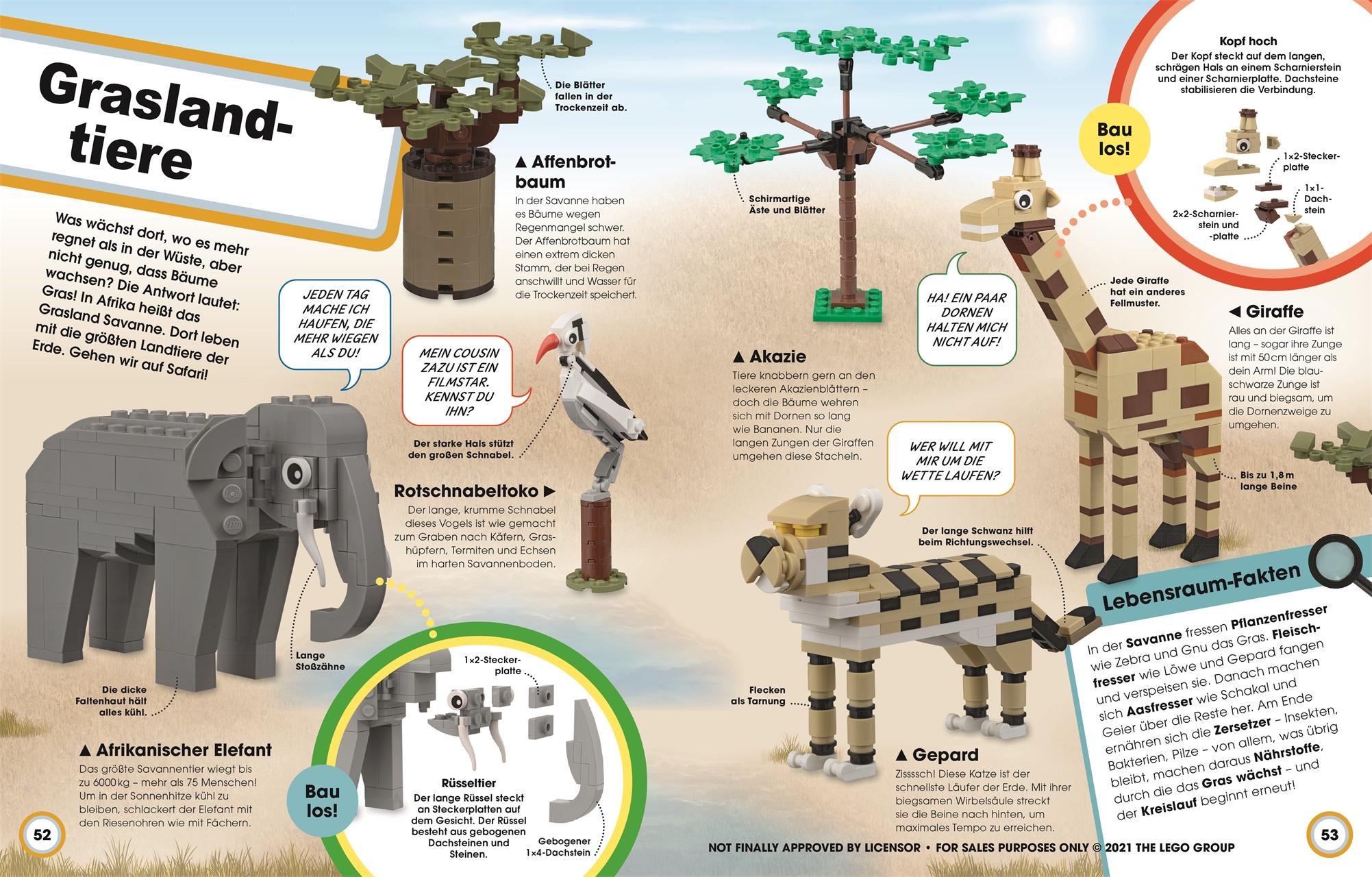 Beispielinhalt (Bild) LEGO® Ideen Super Natur