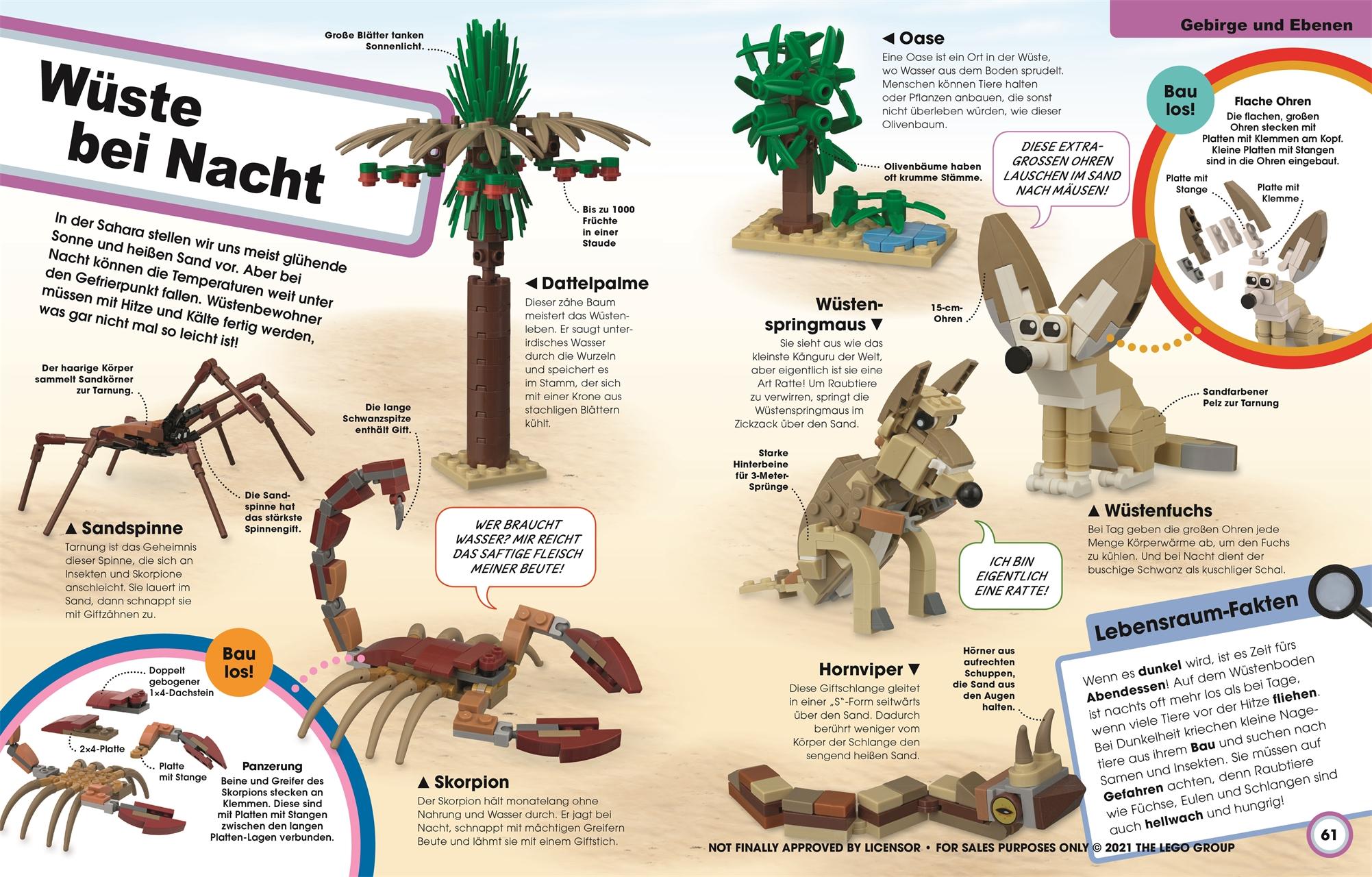 Beispielinhalt (Bild) LEGO® Ideen Super Natur