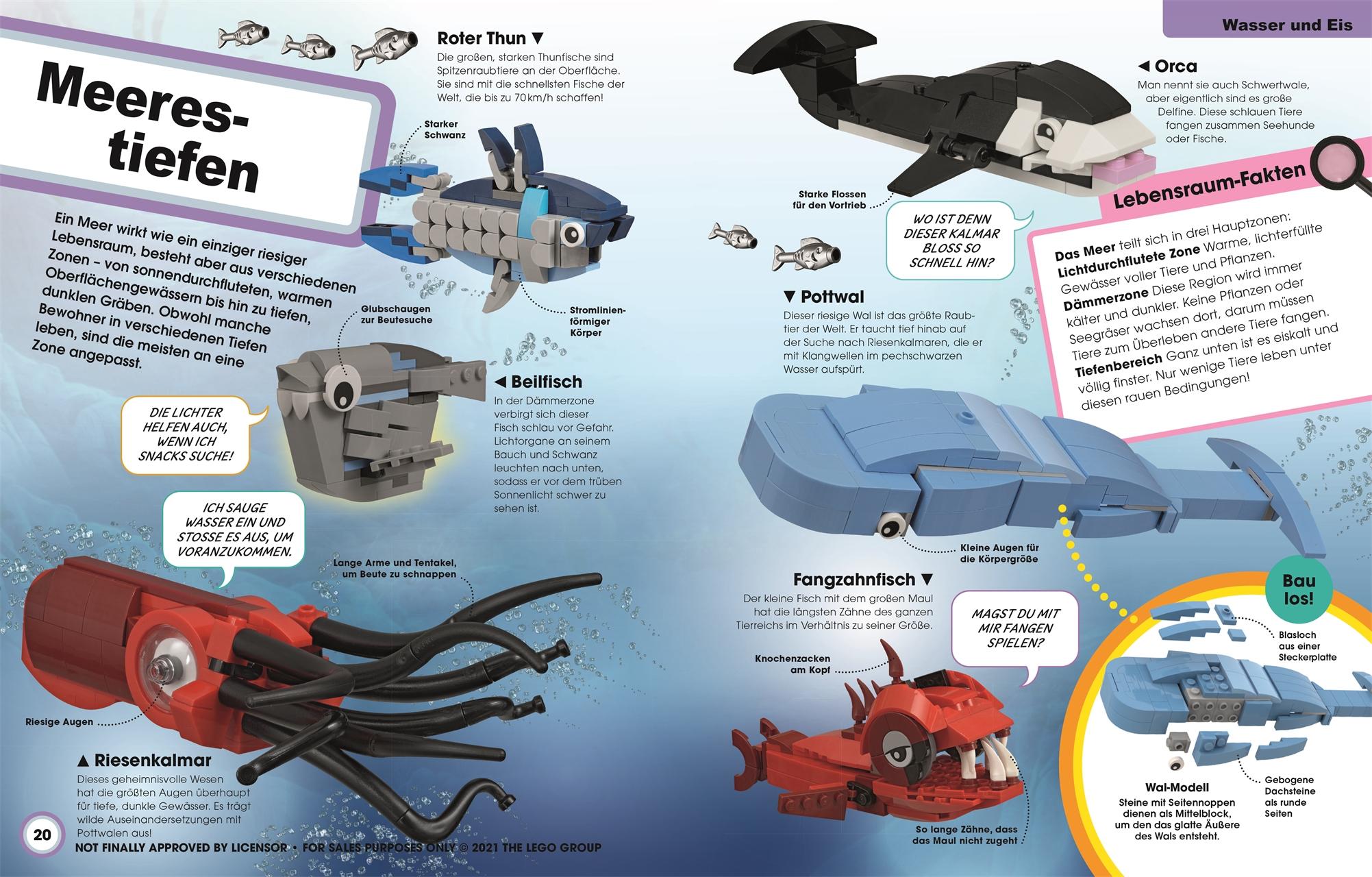 Beispielinhalt (Bild) LEGO® Ideen Super Natur