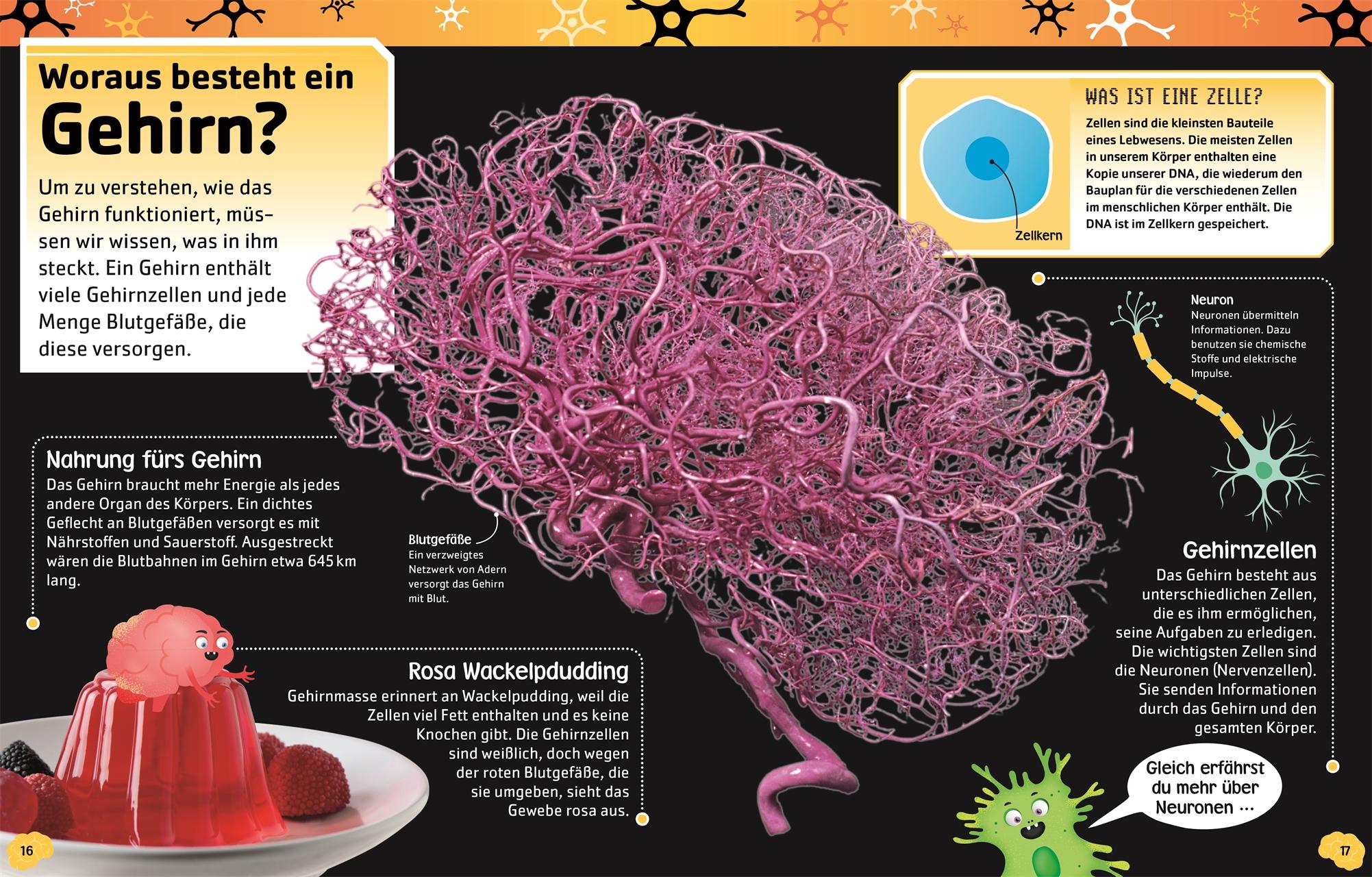 Beispielinhalt (Bild) Superstark & superschlau. Superschlaues Gehirn