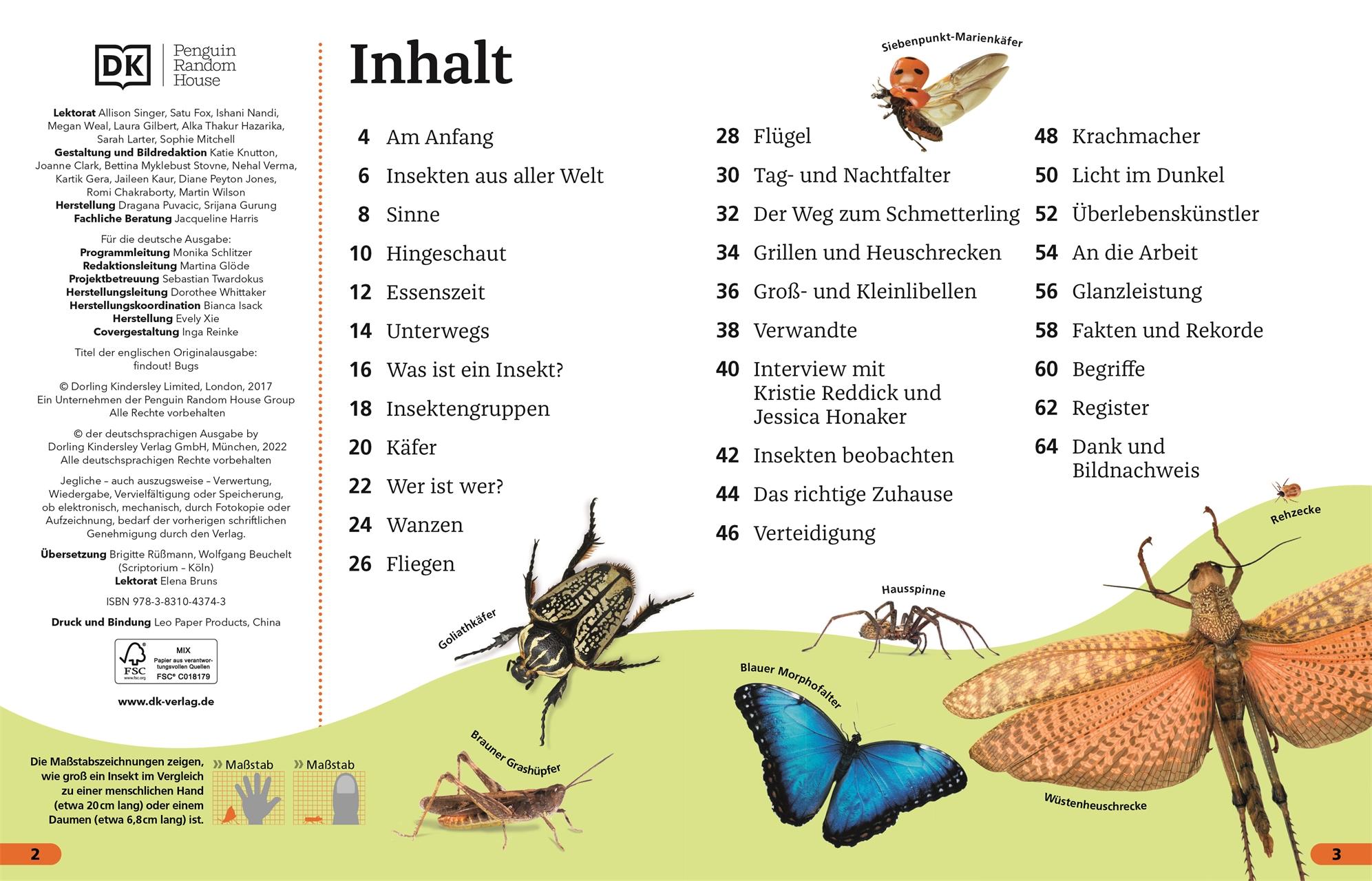 Beispielinhalt (Bild) Superchecker! Insekten