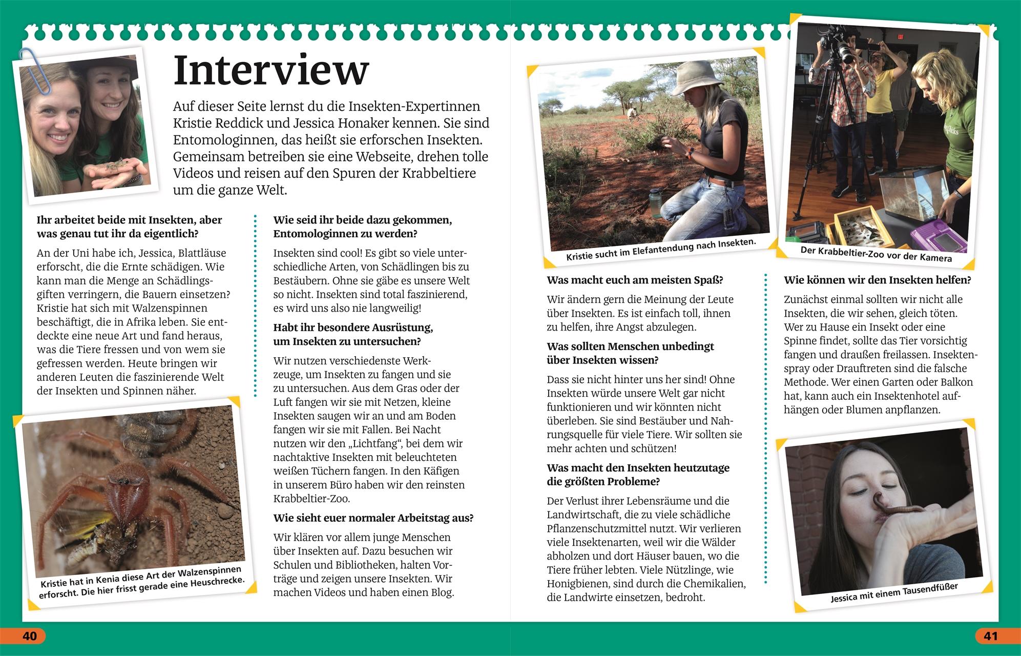 Beispielinhalt (Bild) Superchecker! Insekten