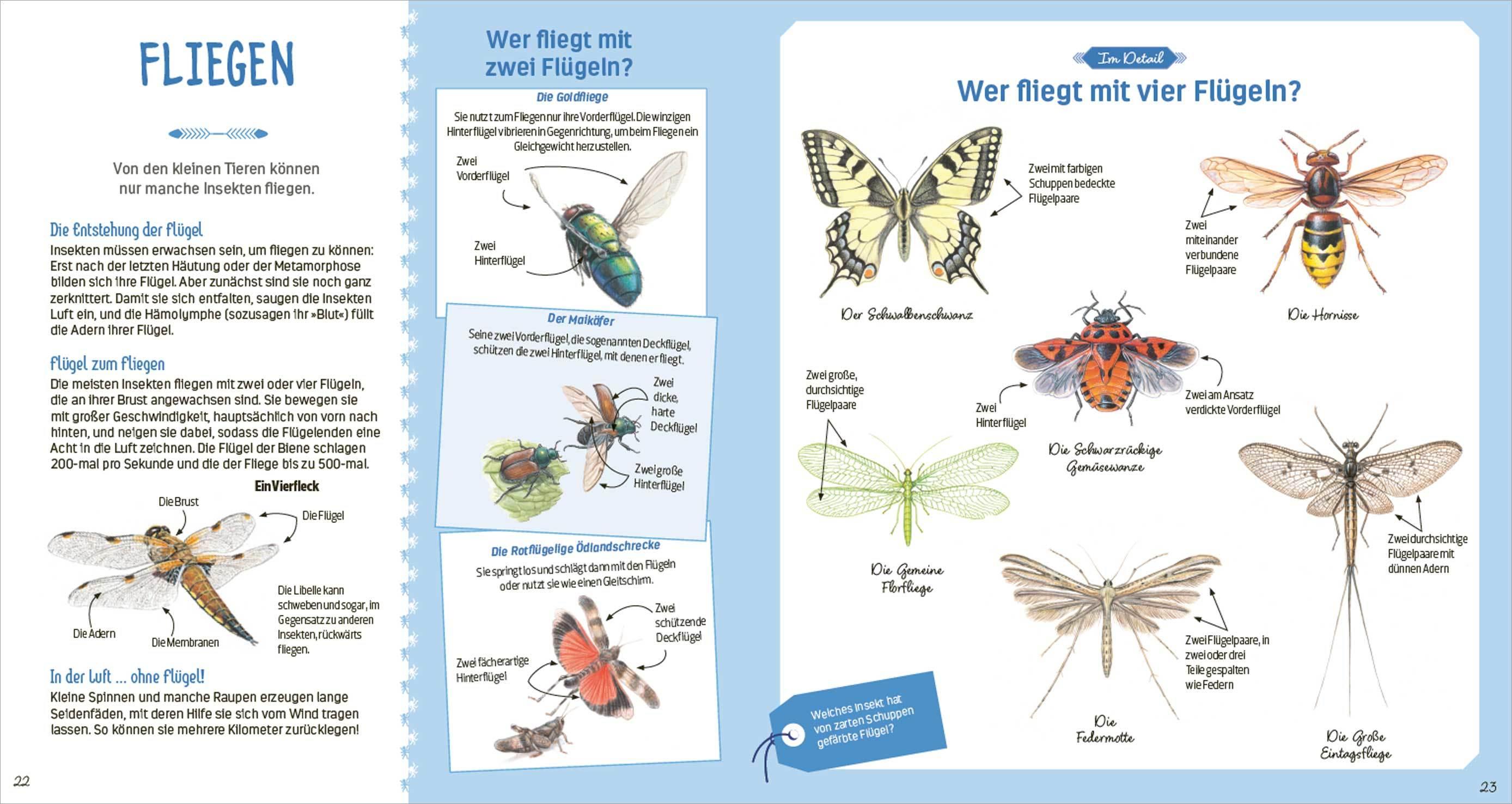 Beispielinhalt (Bild) Das große Buch der kleinen Tiere