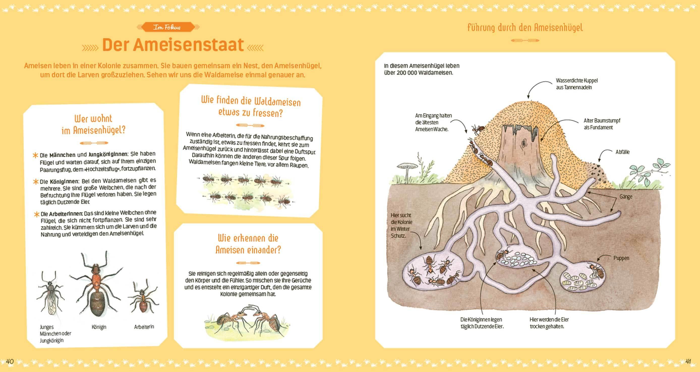 Beispielinhalt (Bild) Das große Buch der kleinen Tiere
