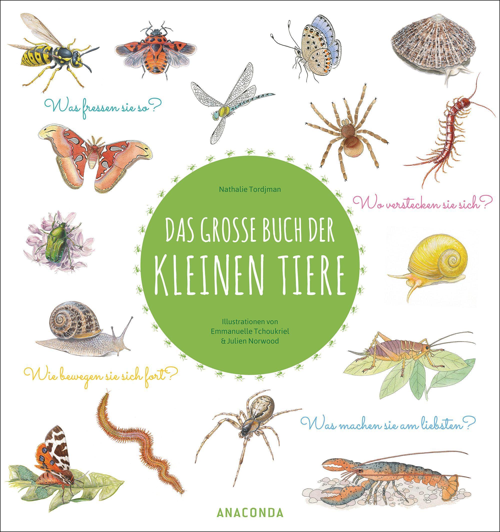 Vorderes Coverbild Das große Buch der kleinen Tiere