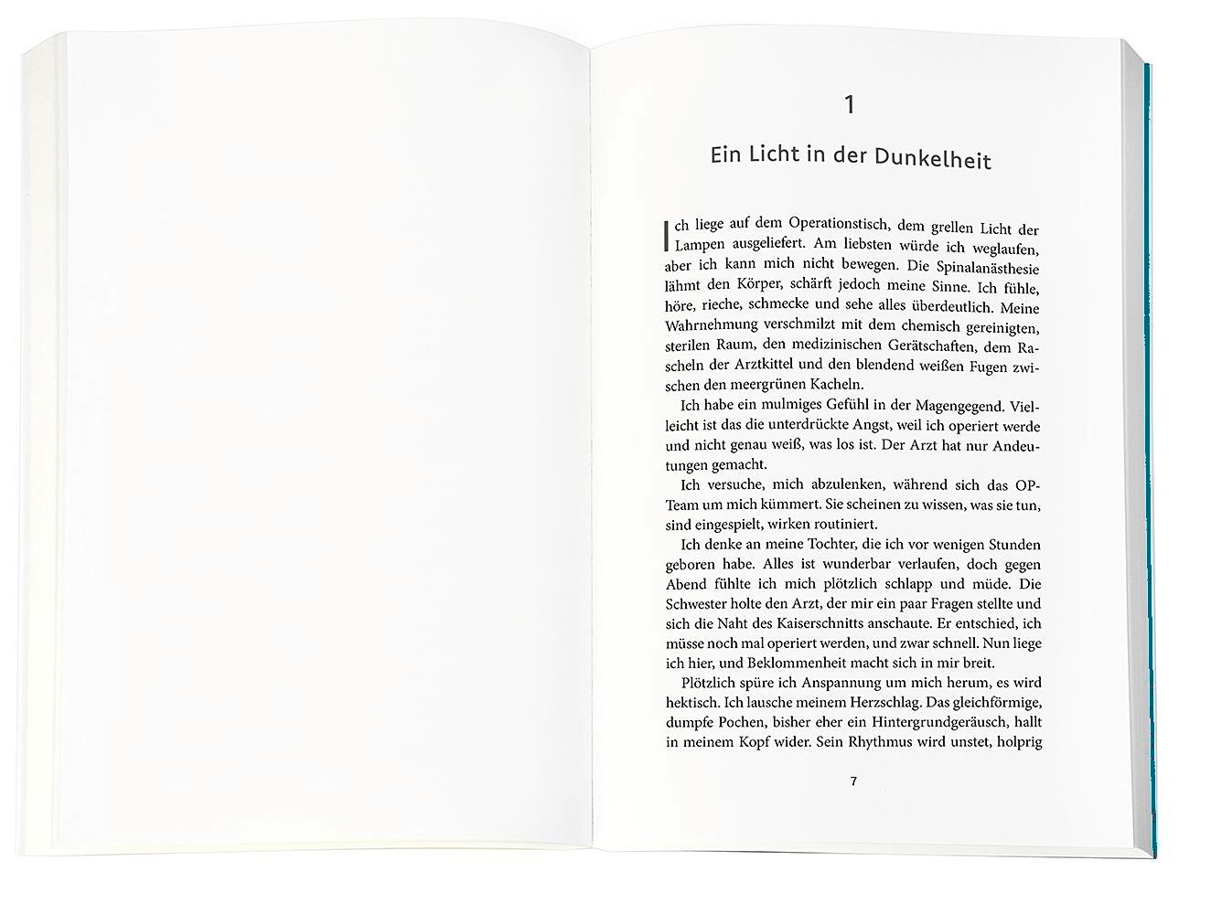 Beispielinhalt (Bild) Der Gesang des Eises