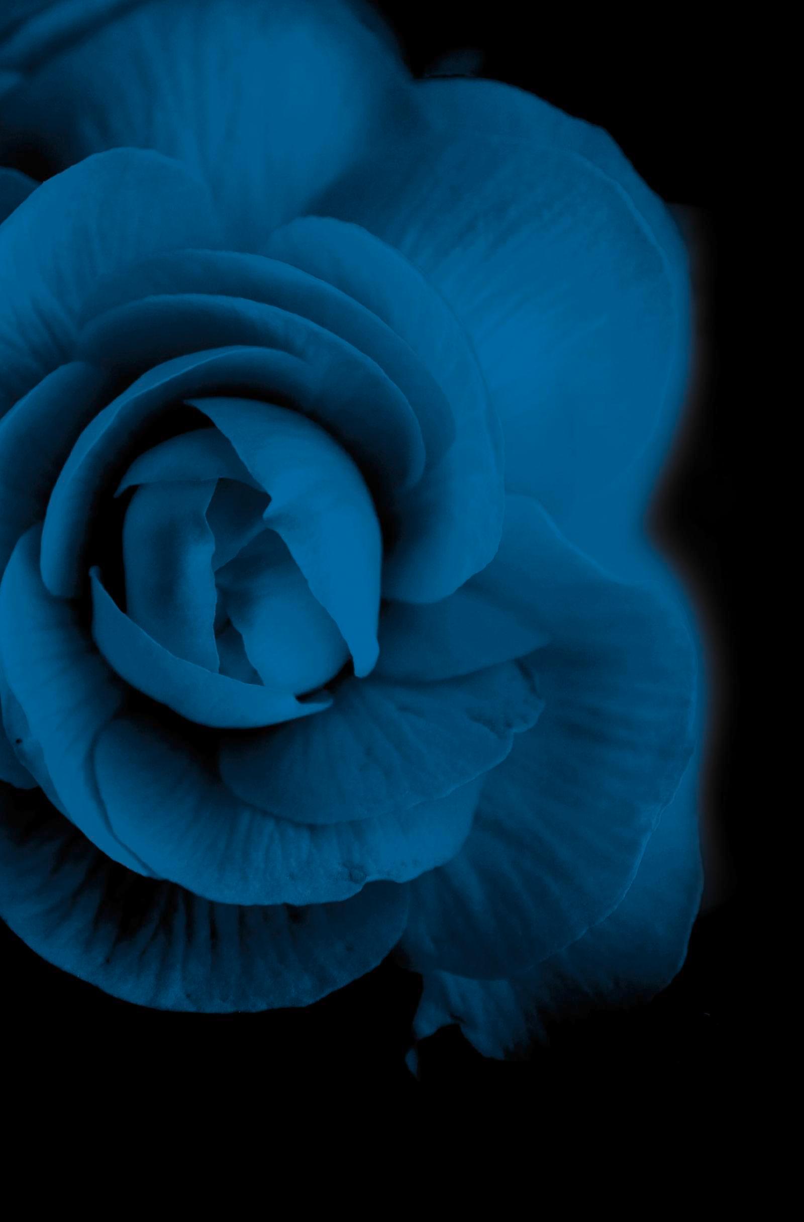 Beispielinhalt (Bild) Dornenpakt