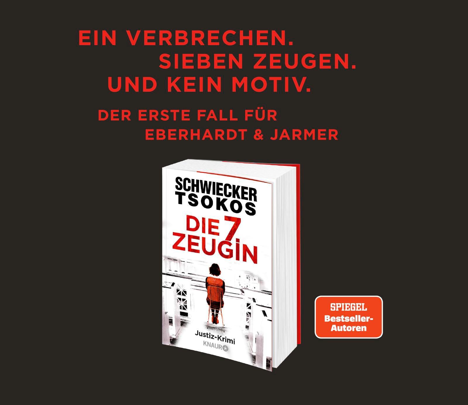 Beispielinhalt (Bild) Der dreizehnte Mann
