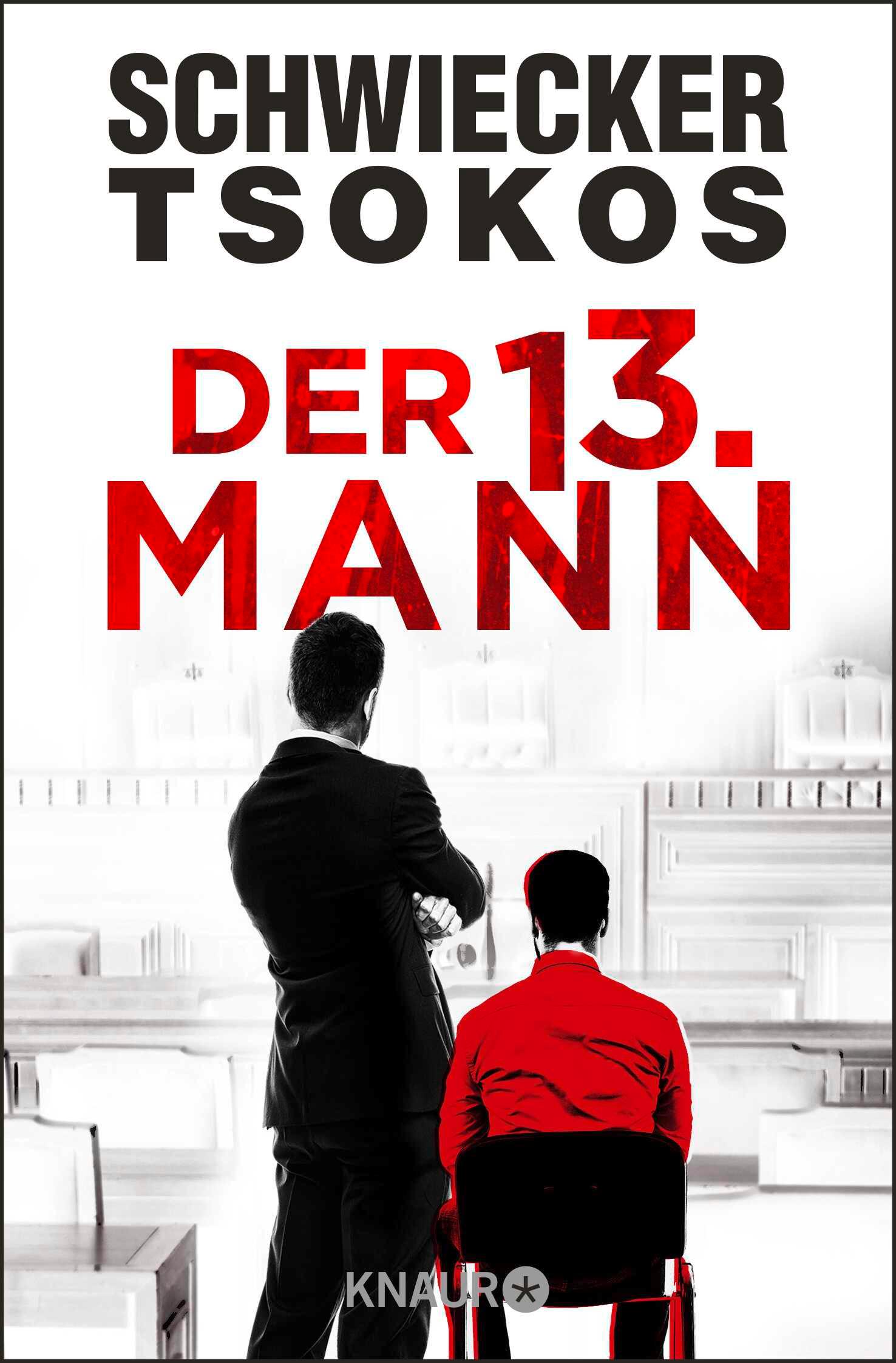Vorderes Coverbild Der dreizehnte Mann