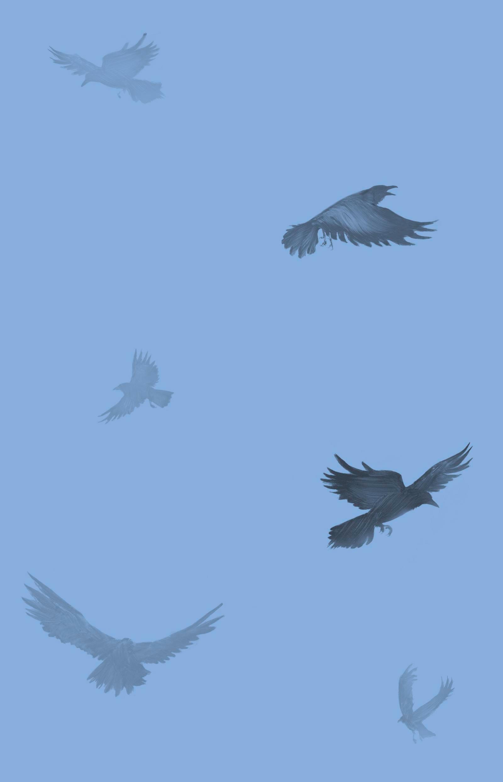 Beispielinhalt (Bild) Wo das Dunkel schläft