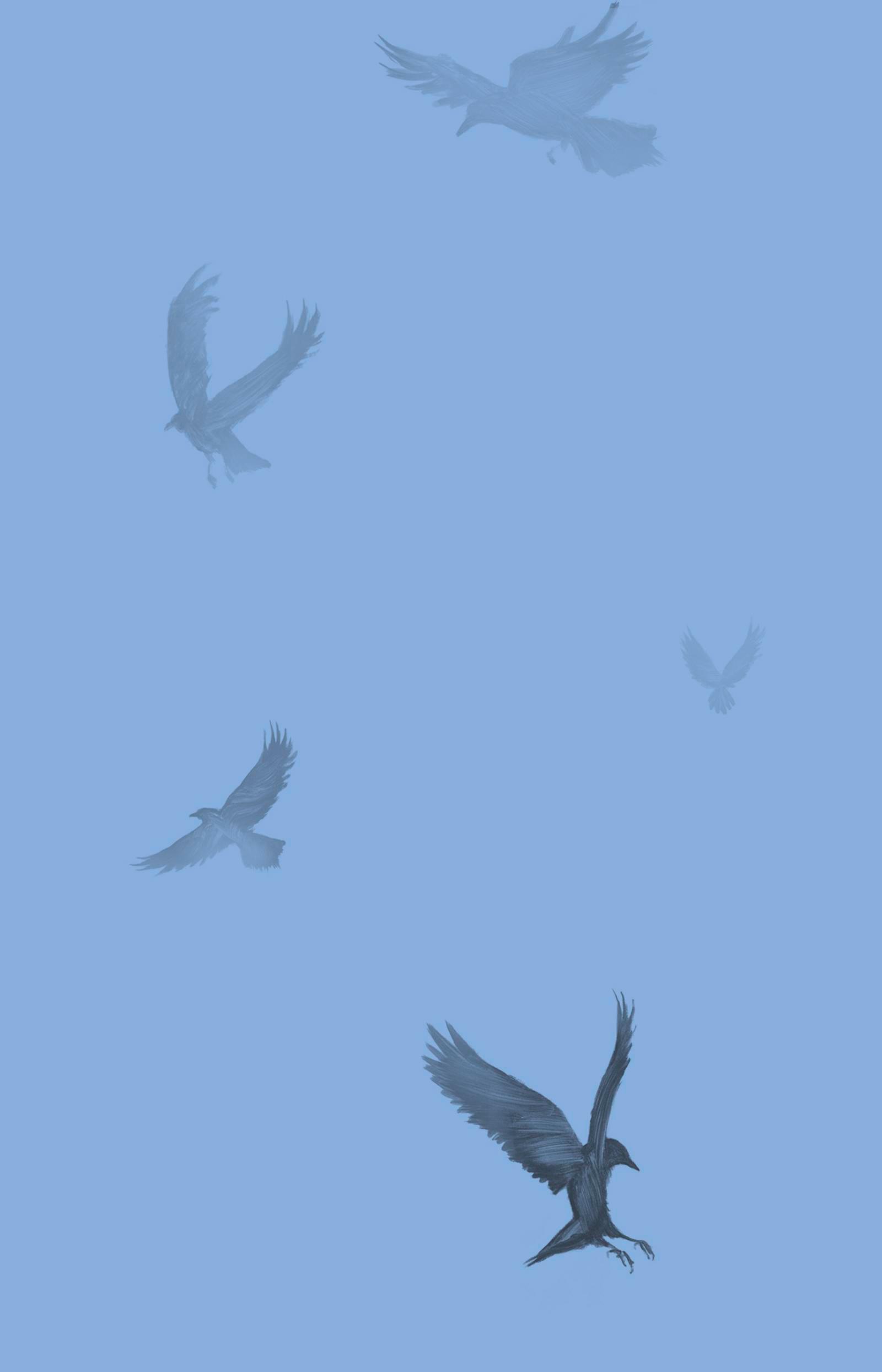 Beispielinhalt (Bild) Wo das Dunkel schläft