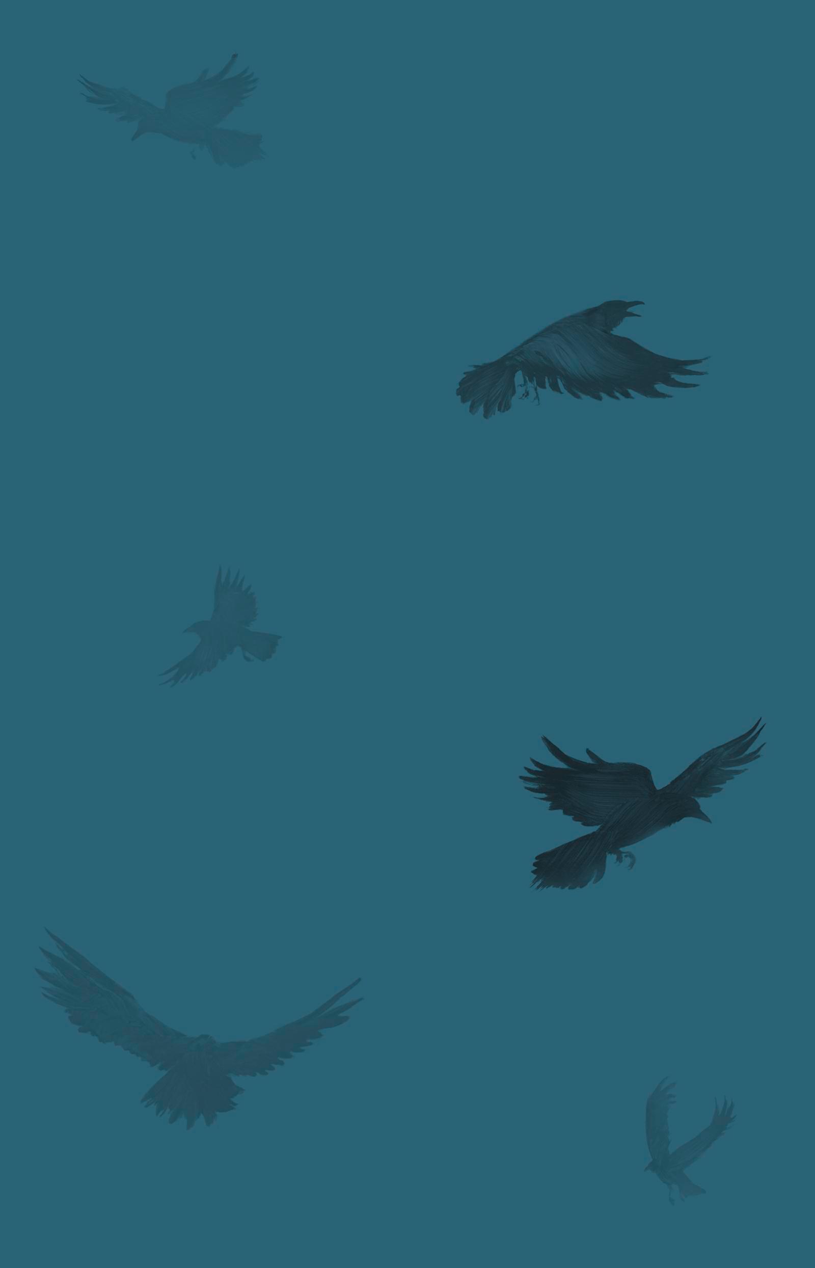 Beispielinhalt (Bild) Wen der Rabe ruft