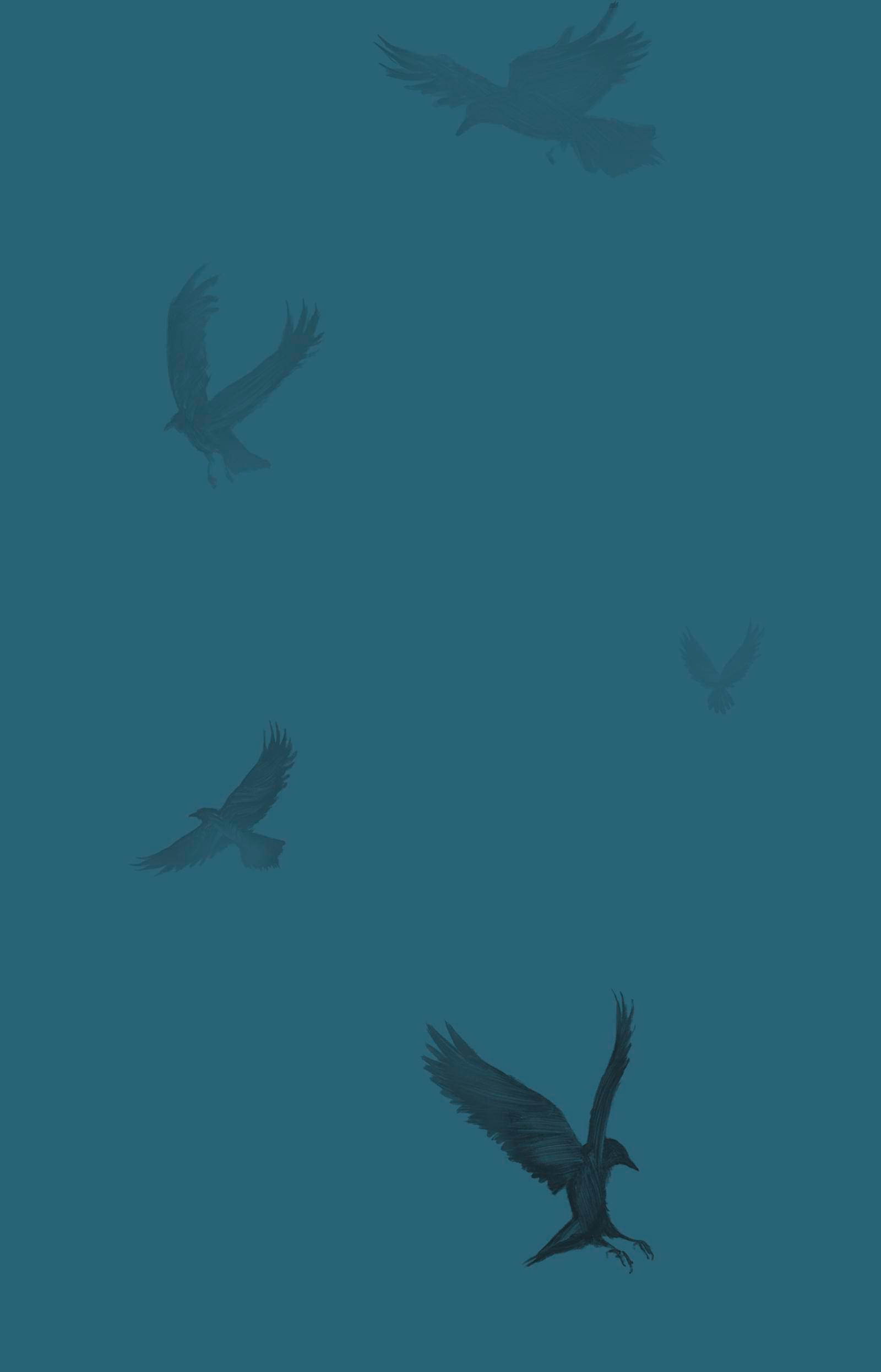 Beispielinhalt (Bild) Wen der Rabe ruft