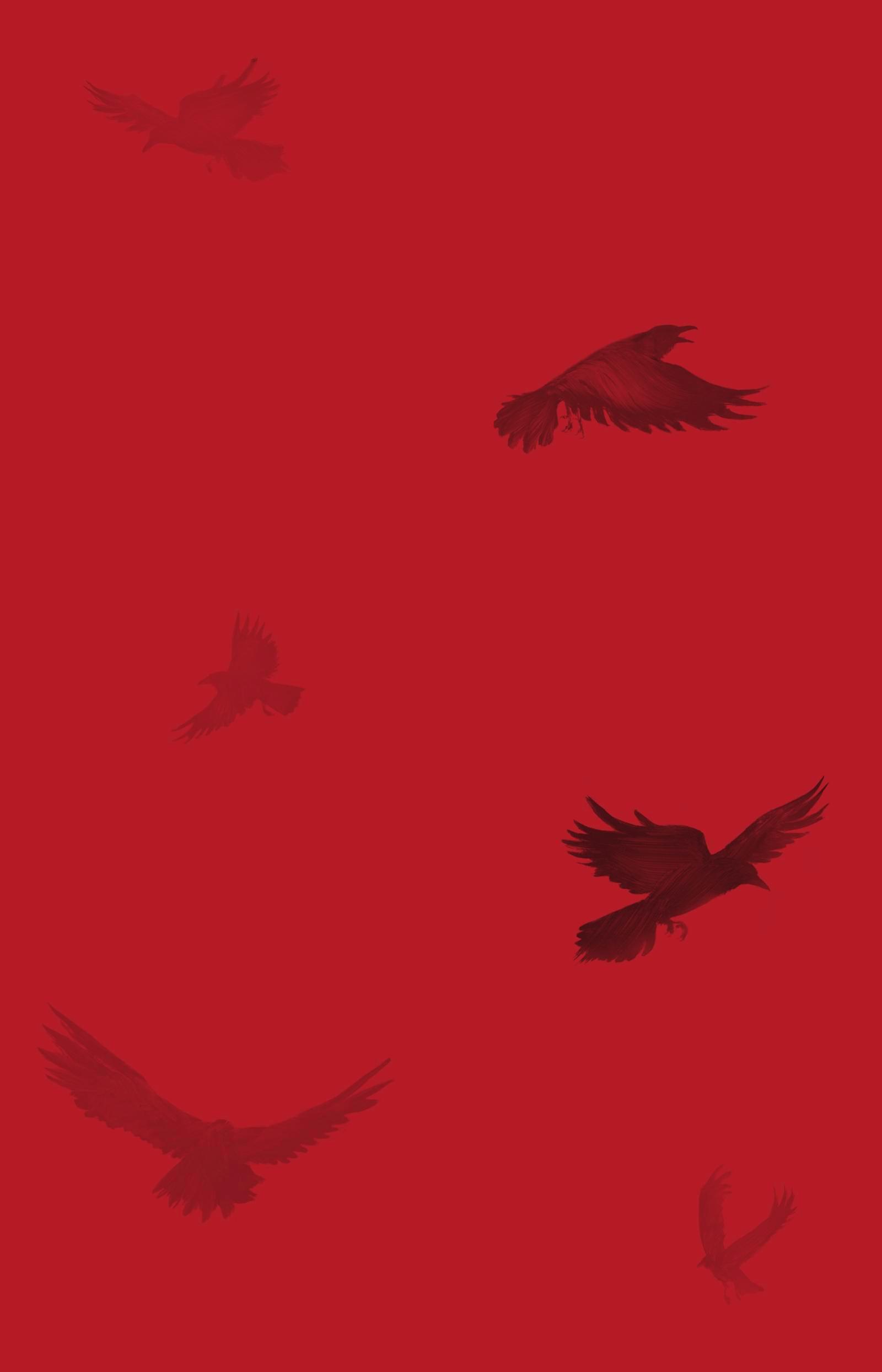 Beispielinhalt (Bild) Wer die Lilie träumt